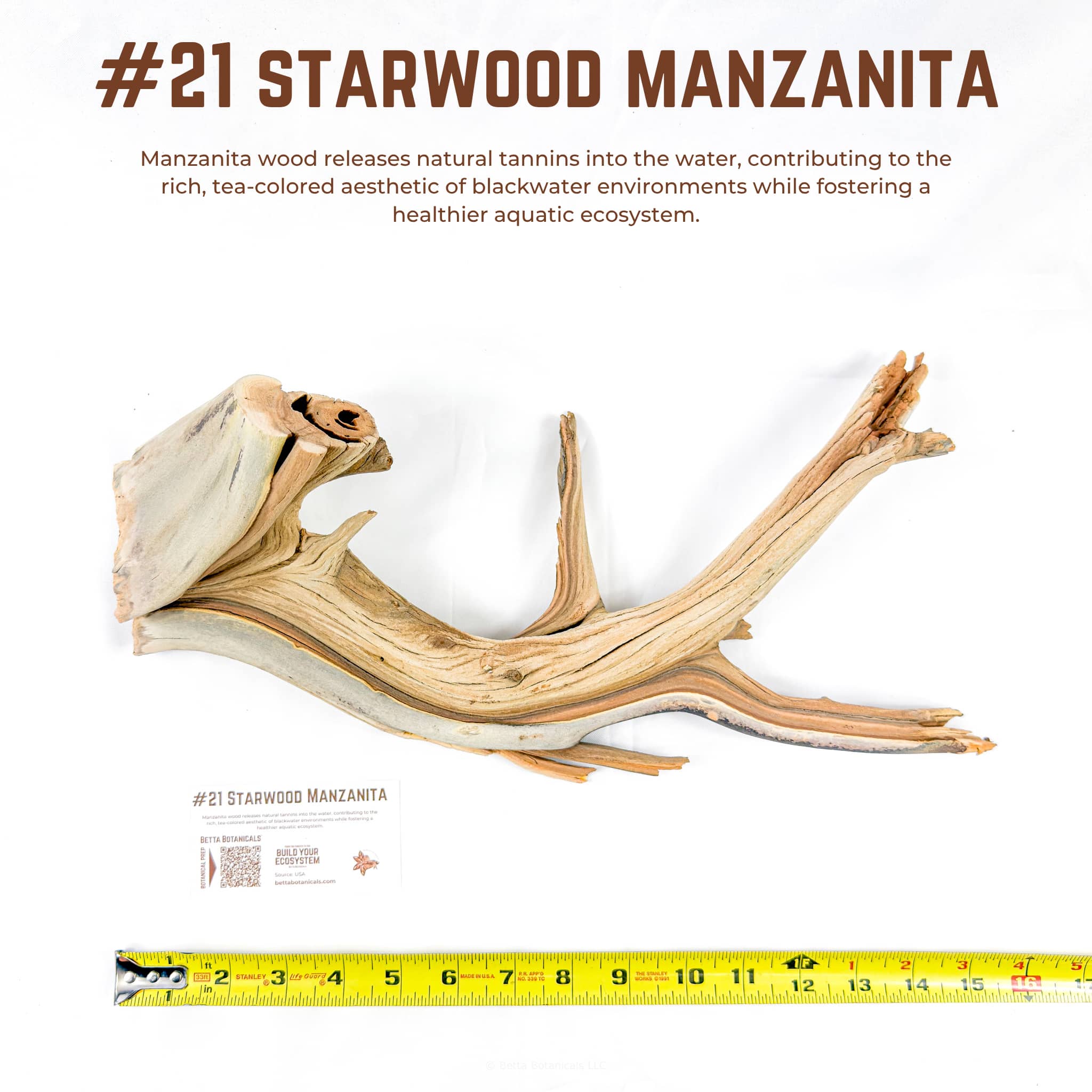 Starwood Manzanita | WYSIWYG Pieces