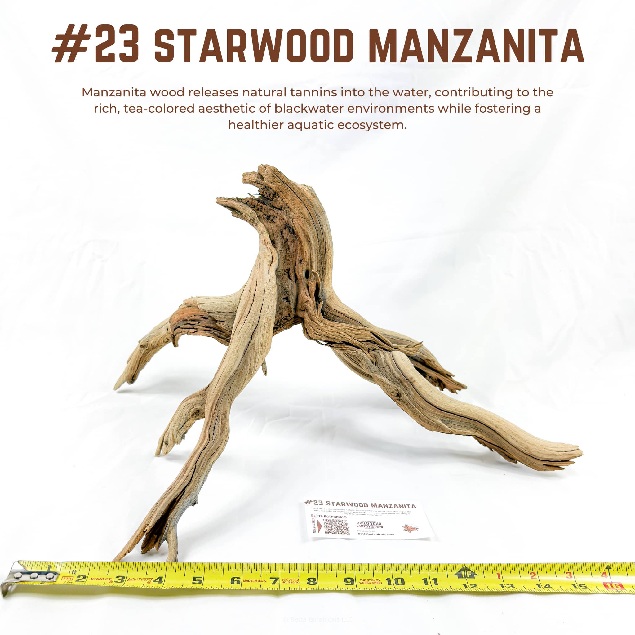 Starwood Manzanita | WYSIWYG Pieces