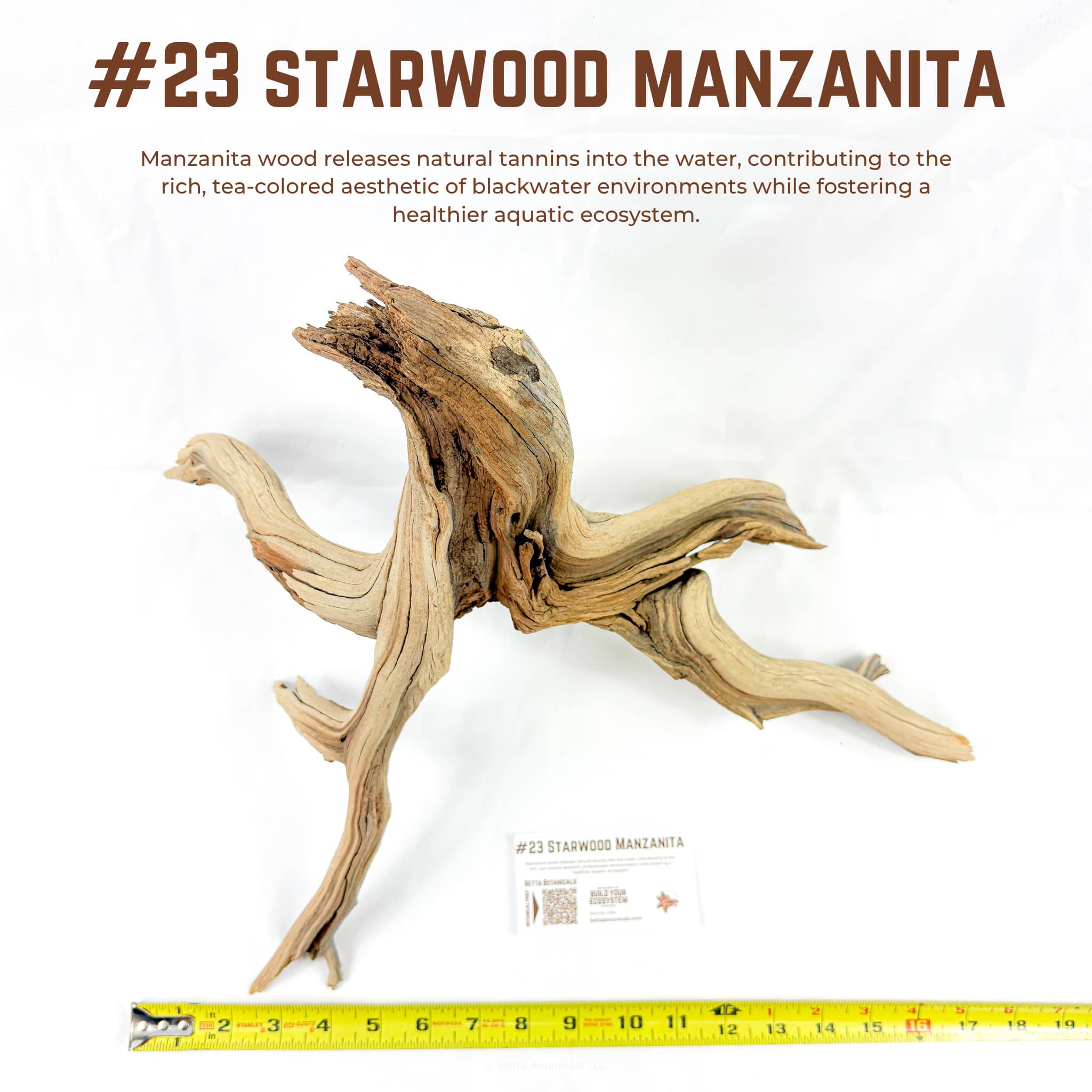 Starwood Manzanita | WYSIWYG Pieces