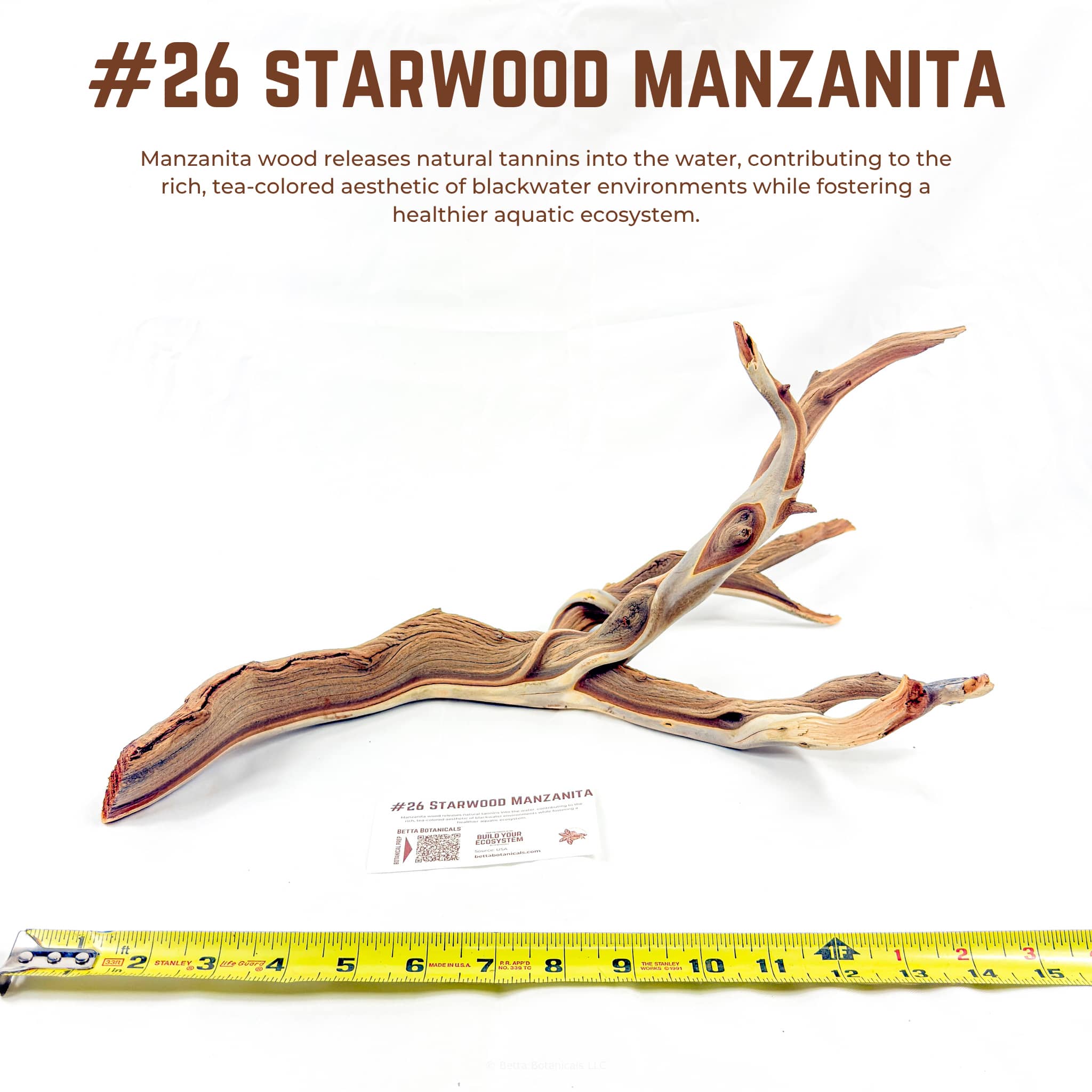 Starwood Manzanita | WYSIWYG Pieces