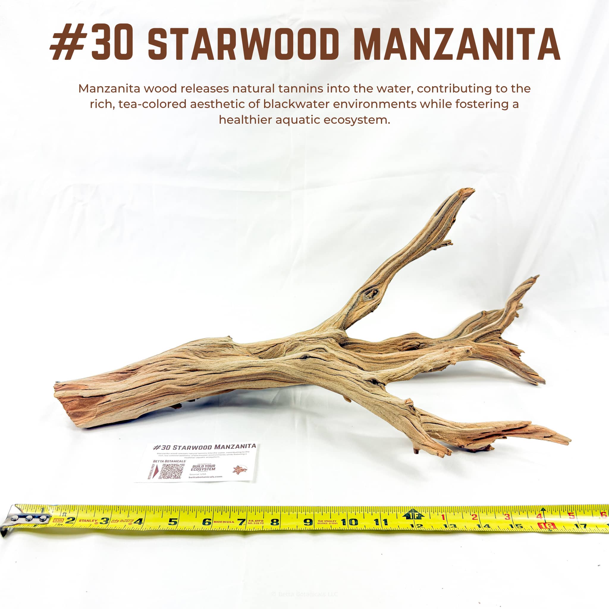 Starwood Manzanita | WYSIWYG Pieces
