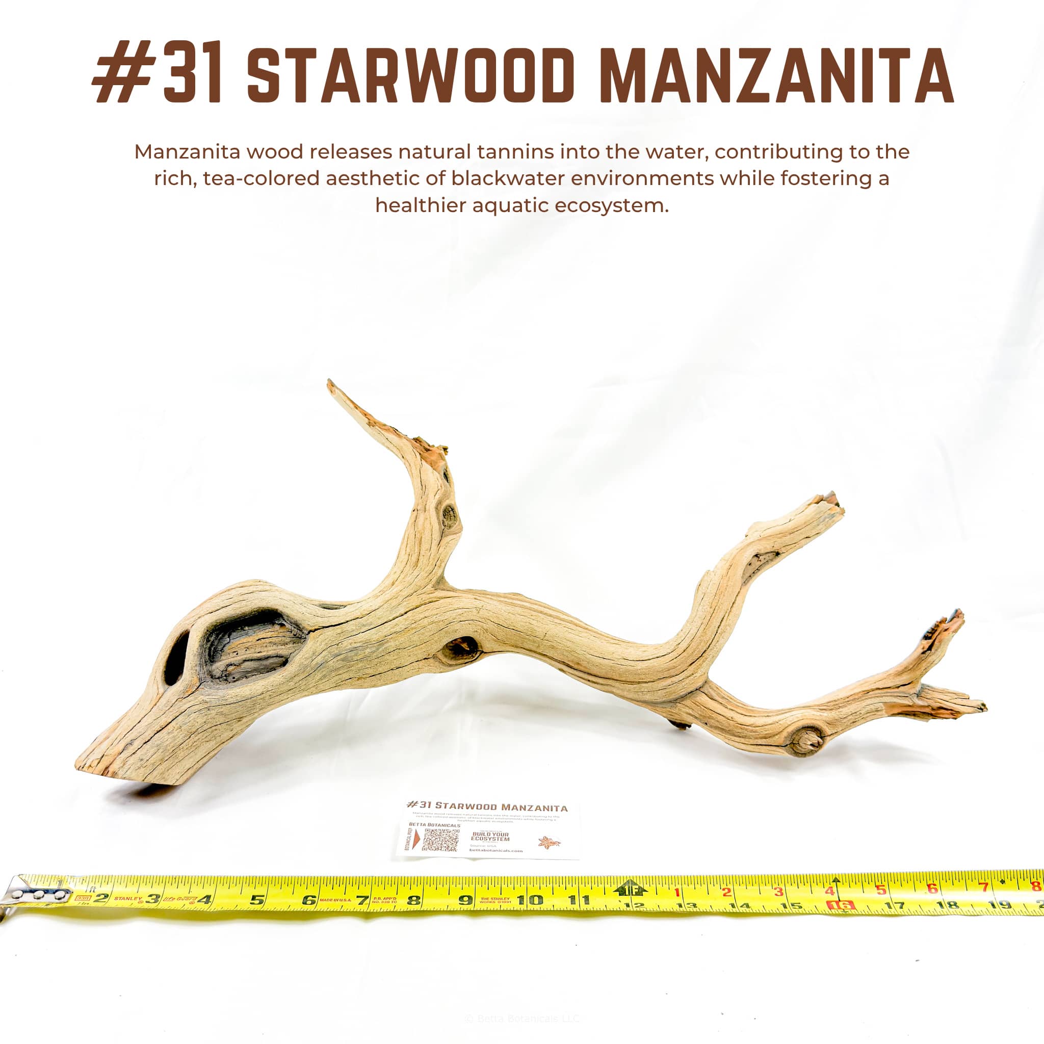 Starwood Manzanita | WYSIWYG Pieces