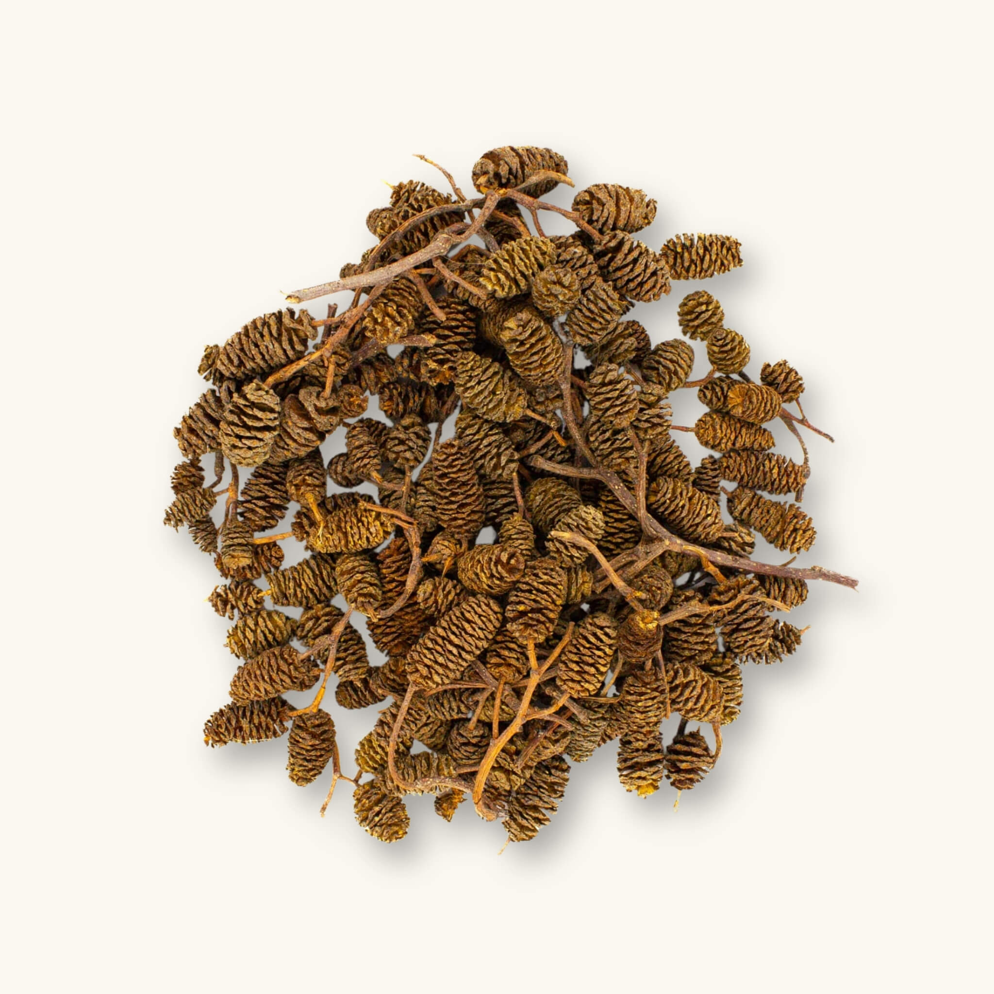 Loose brown alder cones (Alnus rubra) showing texture and size variety for blackwater aquariums, photographed on a natural background at Betta Botanicals.