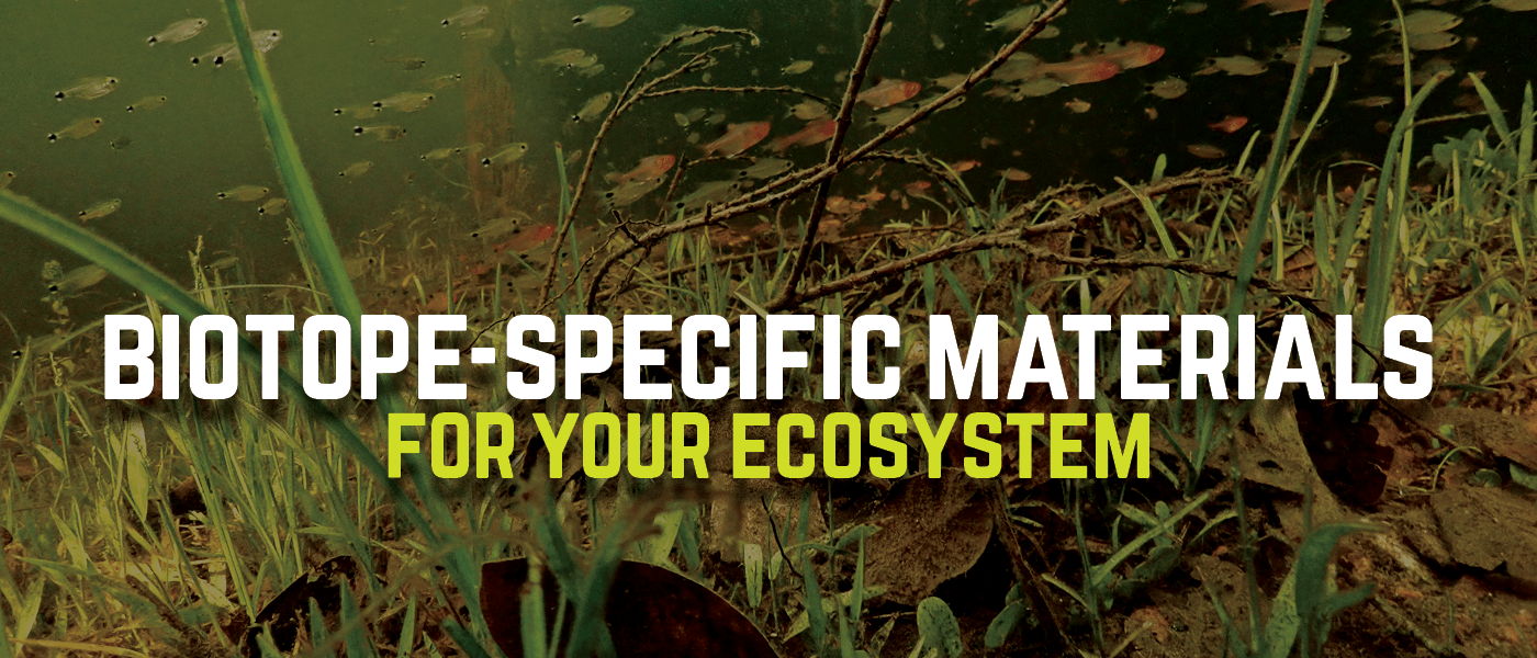 A school of small tetras and cichlids swimming near the surface of a wild South American habitat among submerged twigs and marginal grasses, reflecting the biotope aquarium botanicals and aquatic plants Betta Botanicals sources from the region, photographed in situ by Tai Streitman for Betta Botanicals.