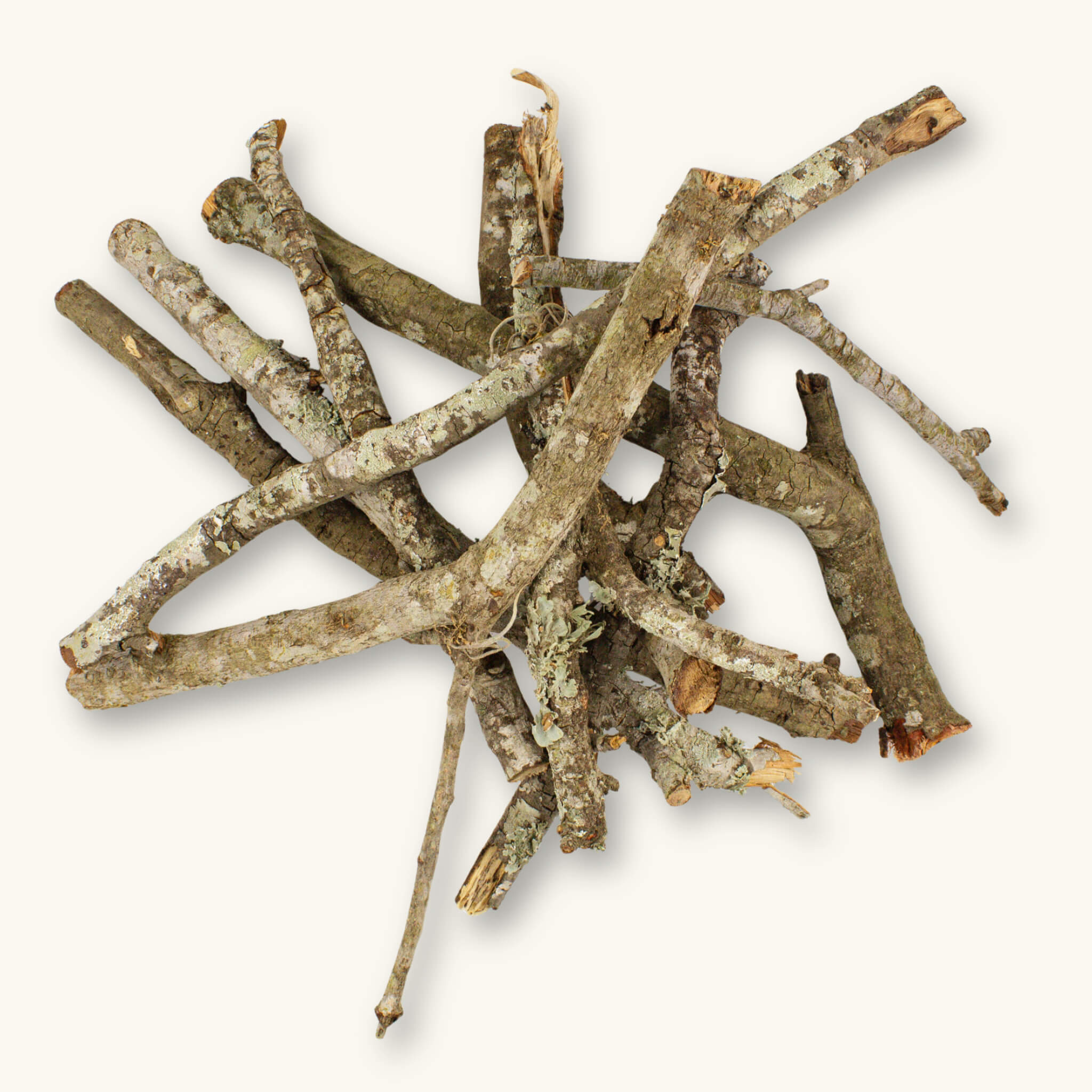 A pile of oak sticks for aquariums with lichen-covered bark and exposed wood, providing the woody structure and refuge used in a blackwater aquarium or bioactive vivarium, photographed on a natural background at Betta Botanicals.