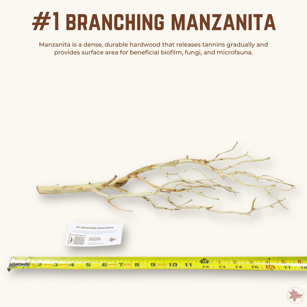 Branching Manzanita | WYSIWYG Pieces