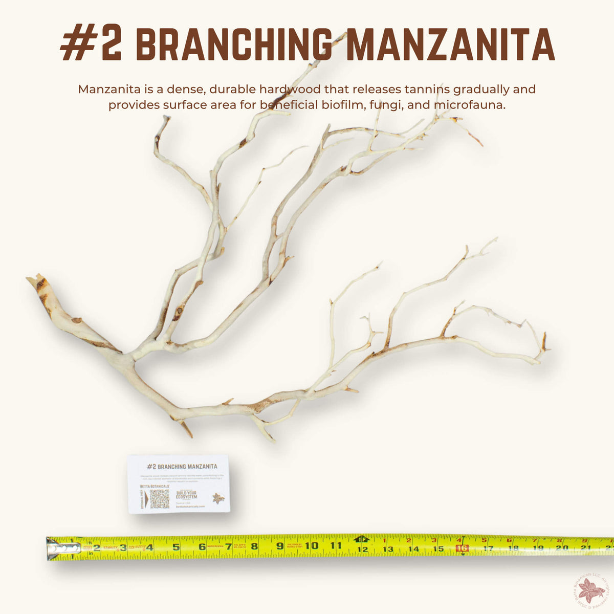 Branching Manzanita | WYSIWYG Pieces