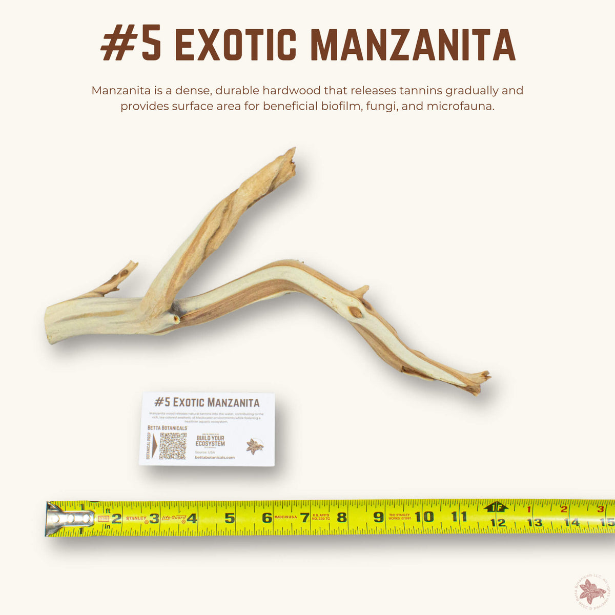 Exotic Manzanita | WYSIWYG Pieces