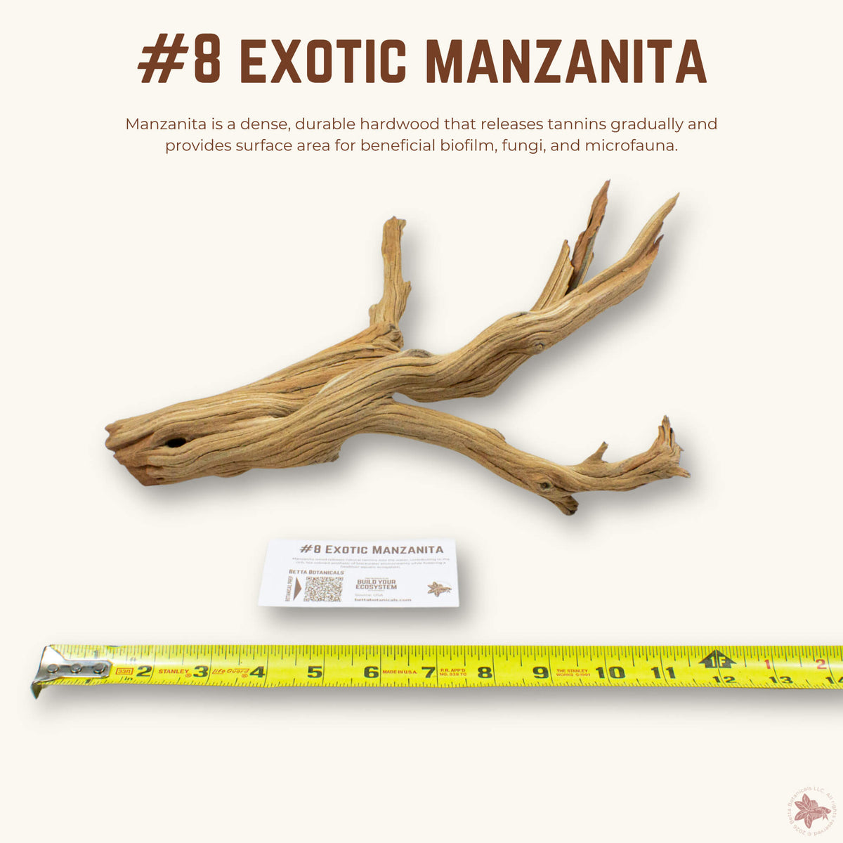 Exotic Manzanita | WYSIWYG Pieces