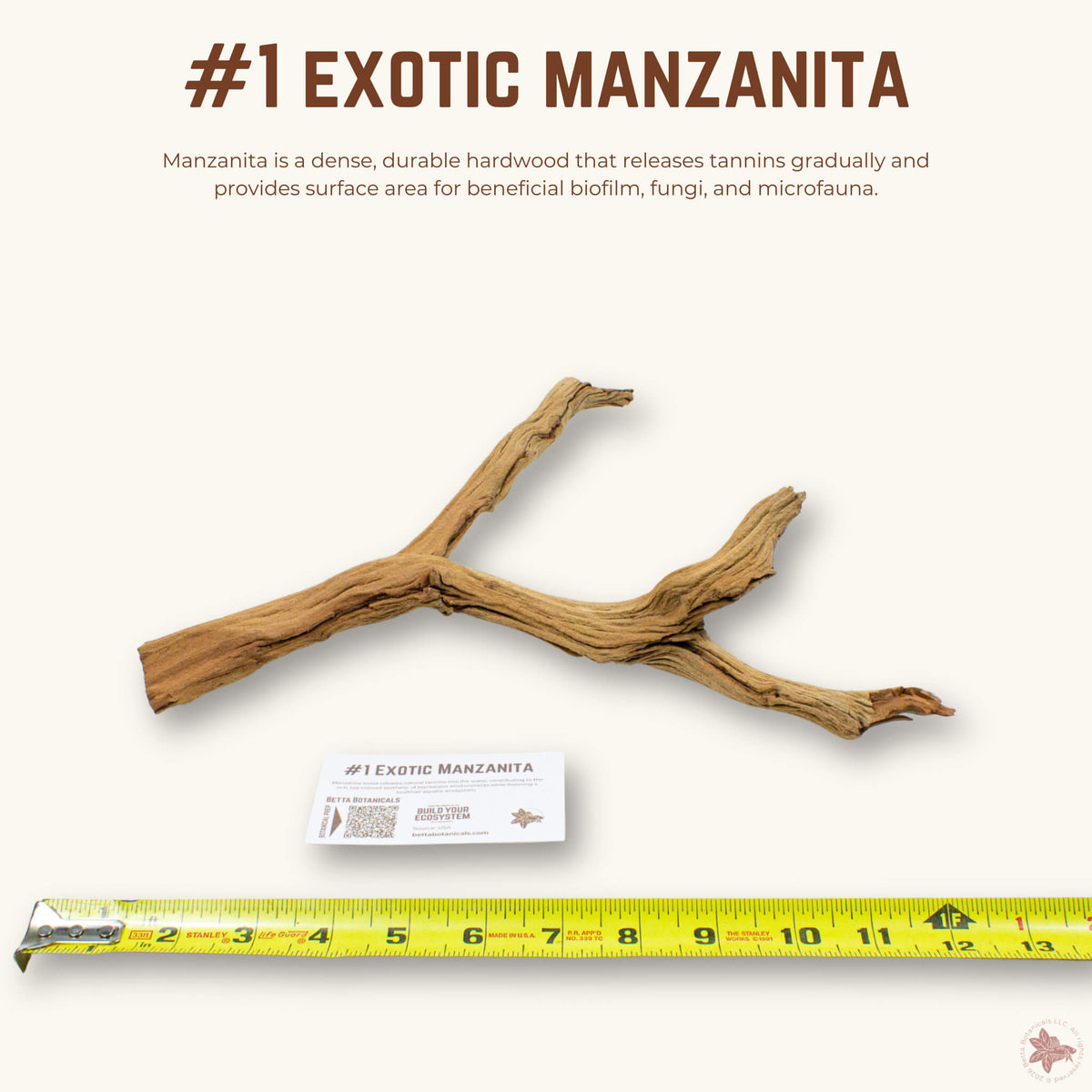 Exotic Manzanita | WYSIWYG Pieces