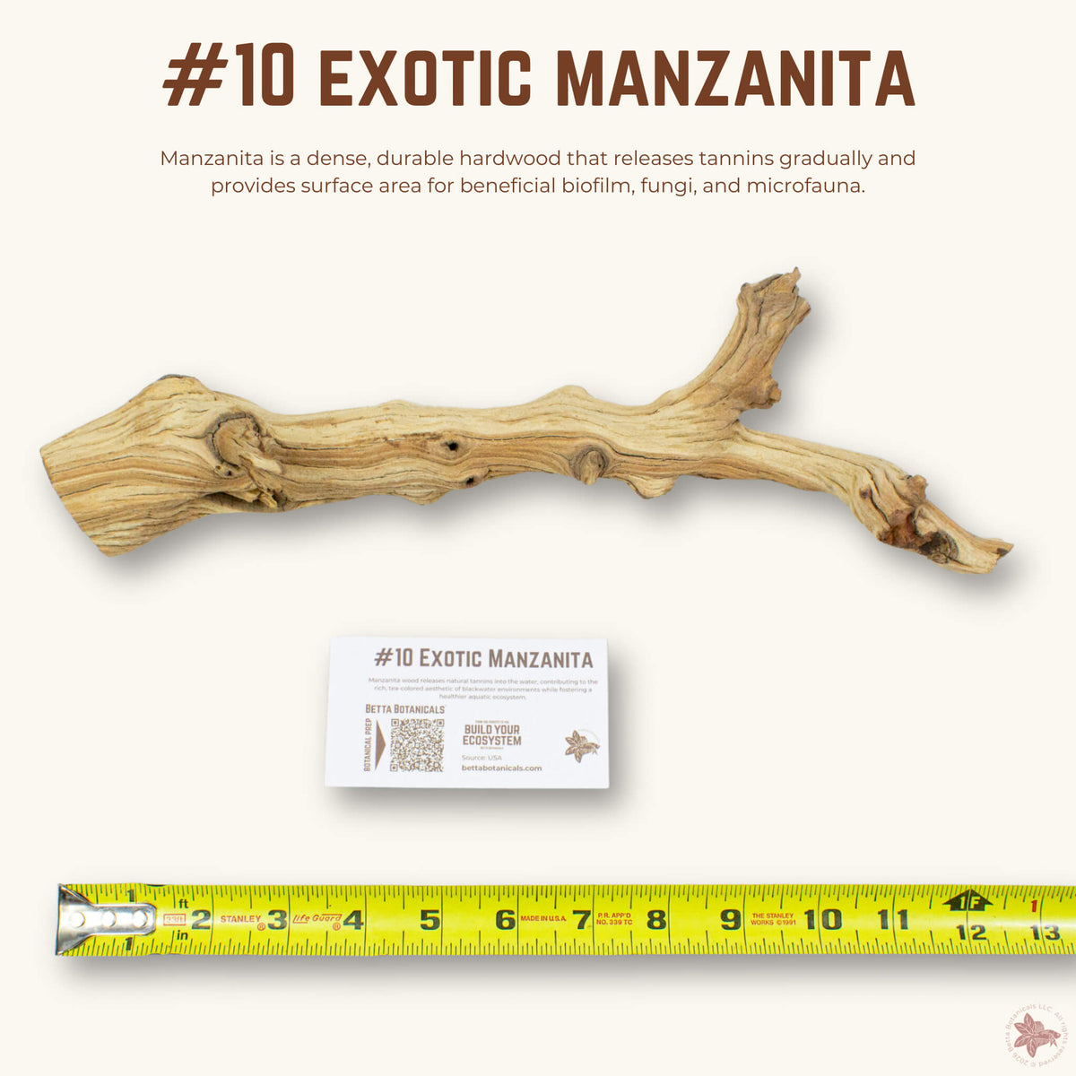 Exotic Manzanita | WYSIWYG Pieces