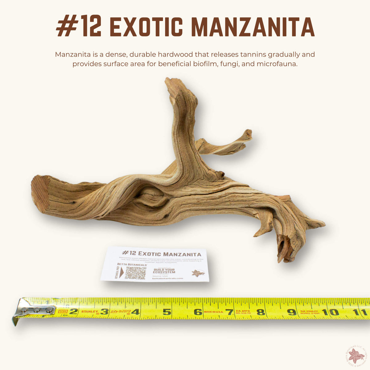 Exotic Manzanita | WYSIWYG Pieces