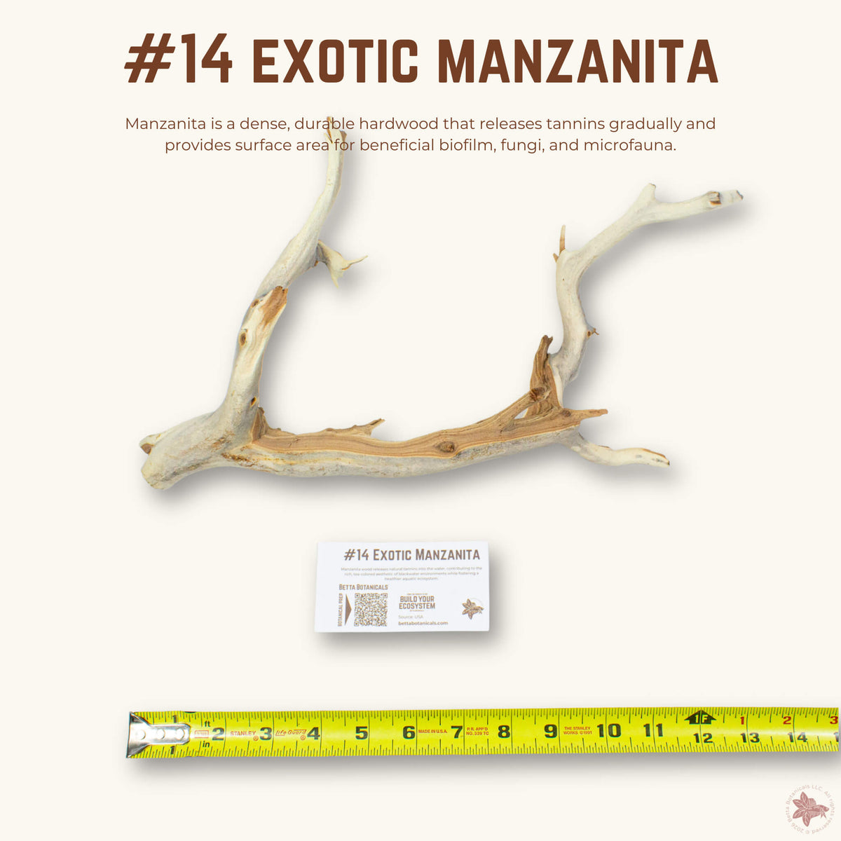 Exotic Manzanita | WYSIWYG Pieces