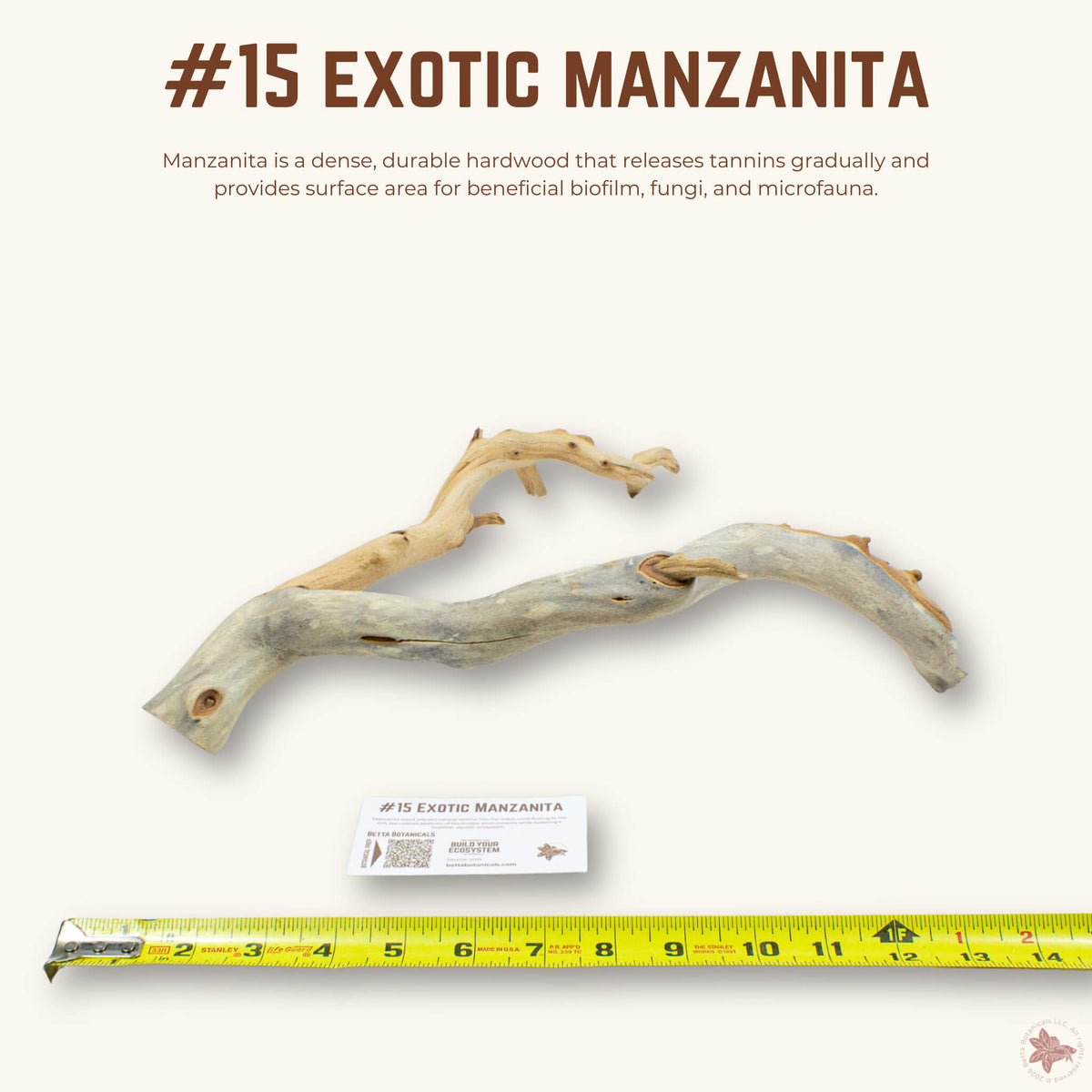 Exotic Manzanita | WYSIWYG Pieces