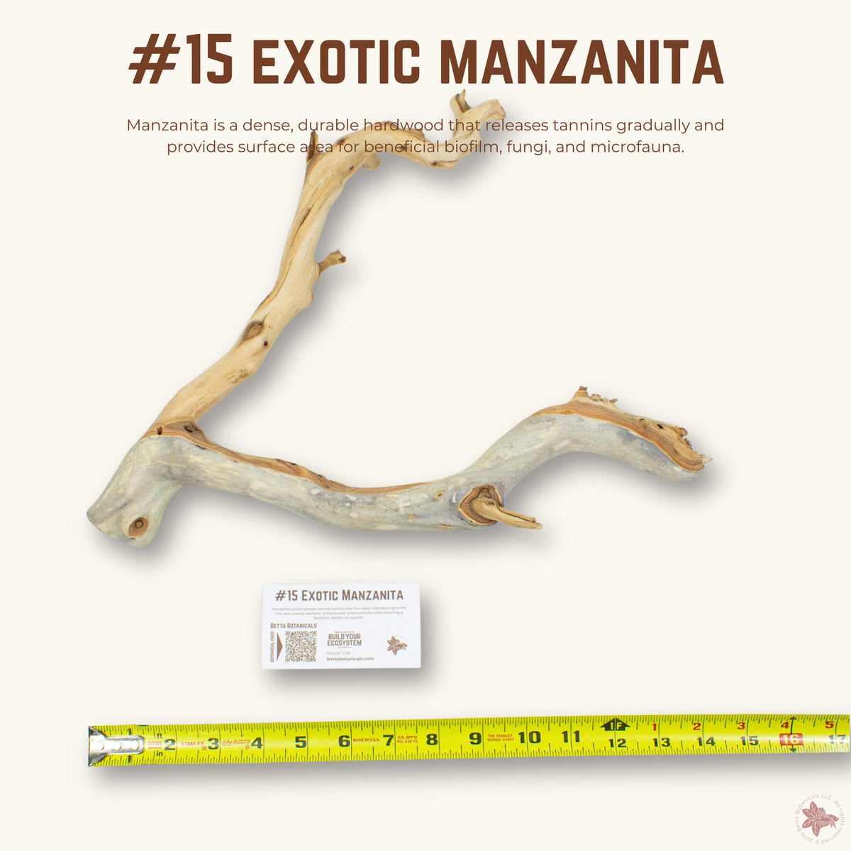 Exotic Manzanita | WYSIWYG Pieces