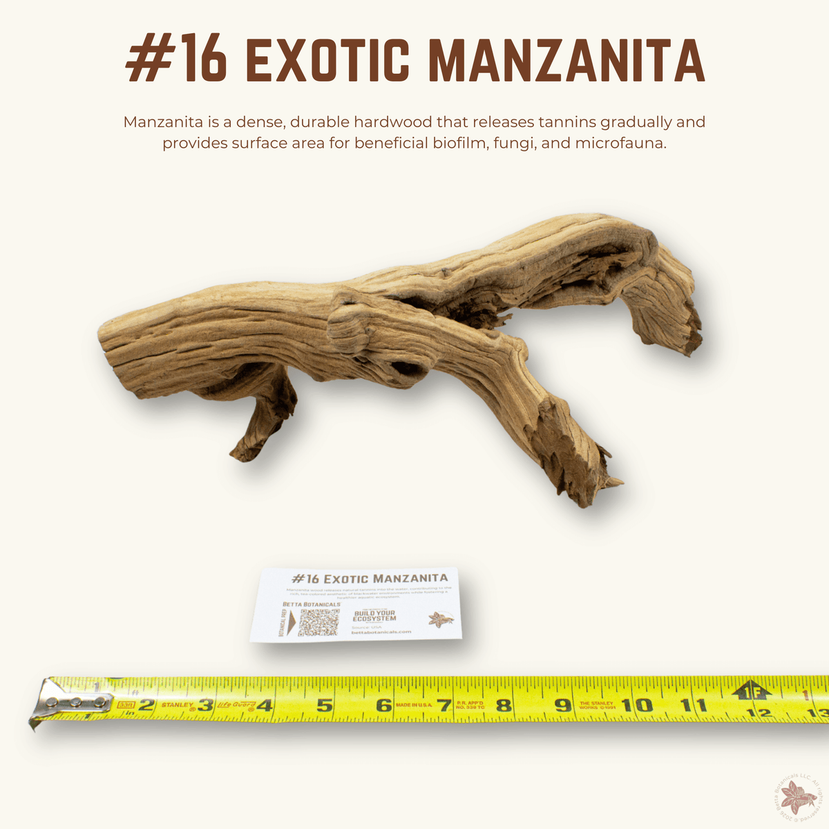 Exotic Manzanita | WYSIWYG Pieces