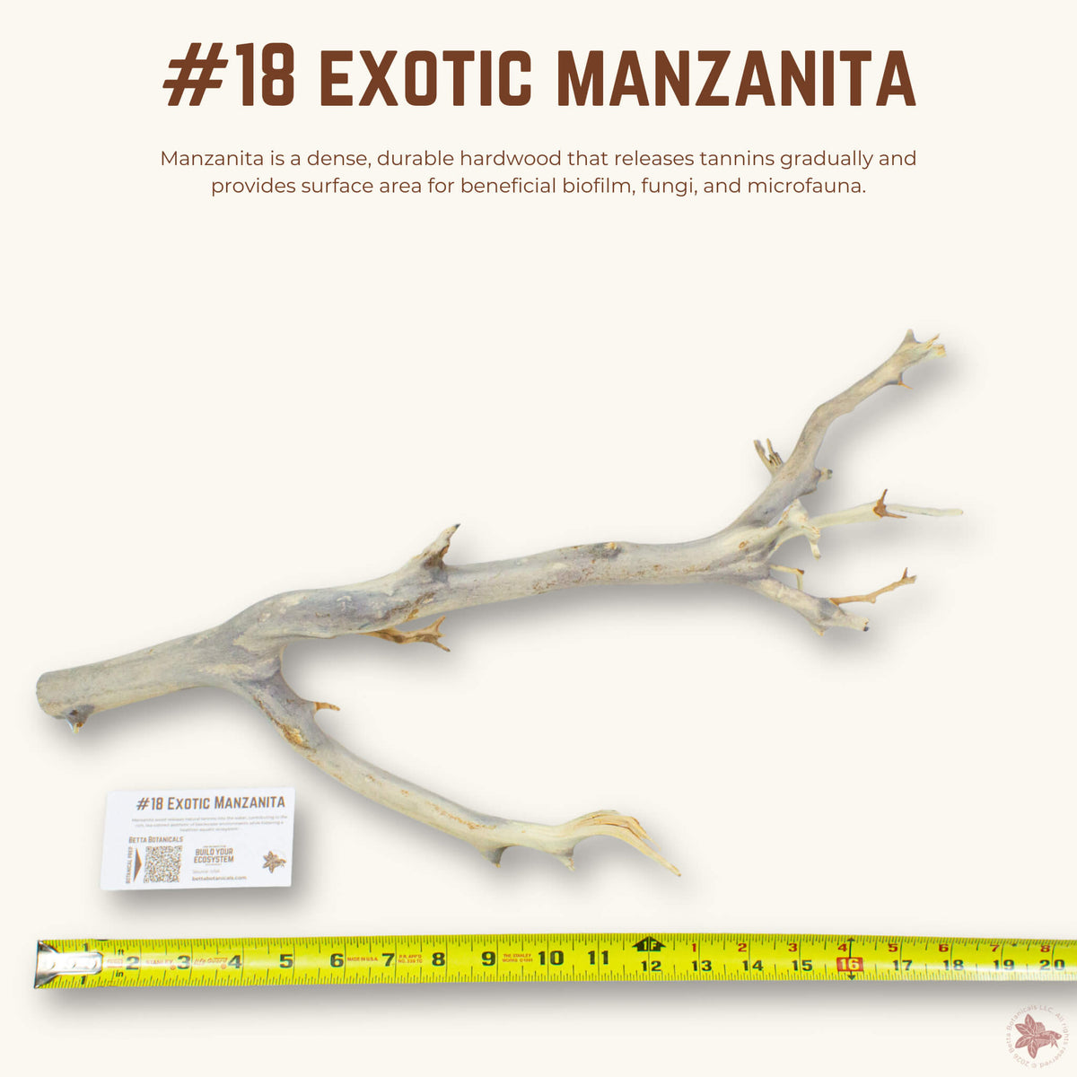 Exotic Manzanita | WYSIWYG Pieces