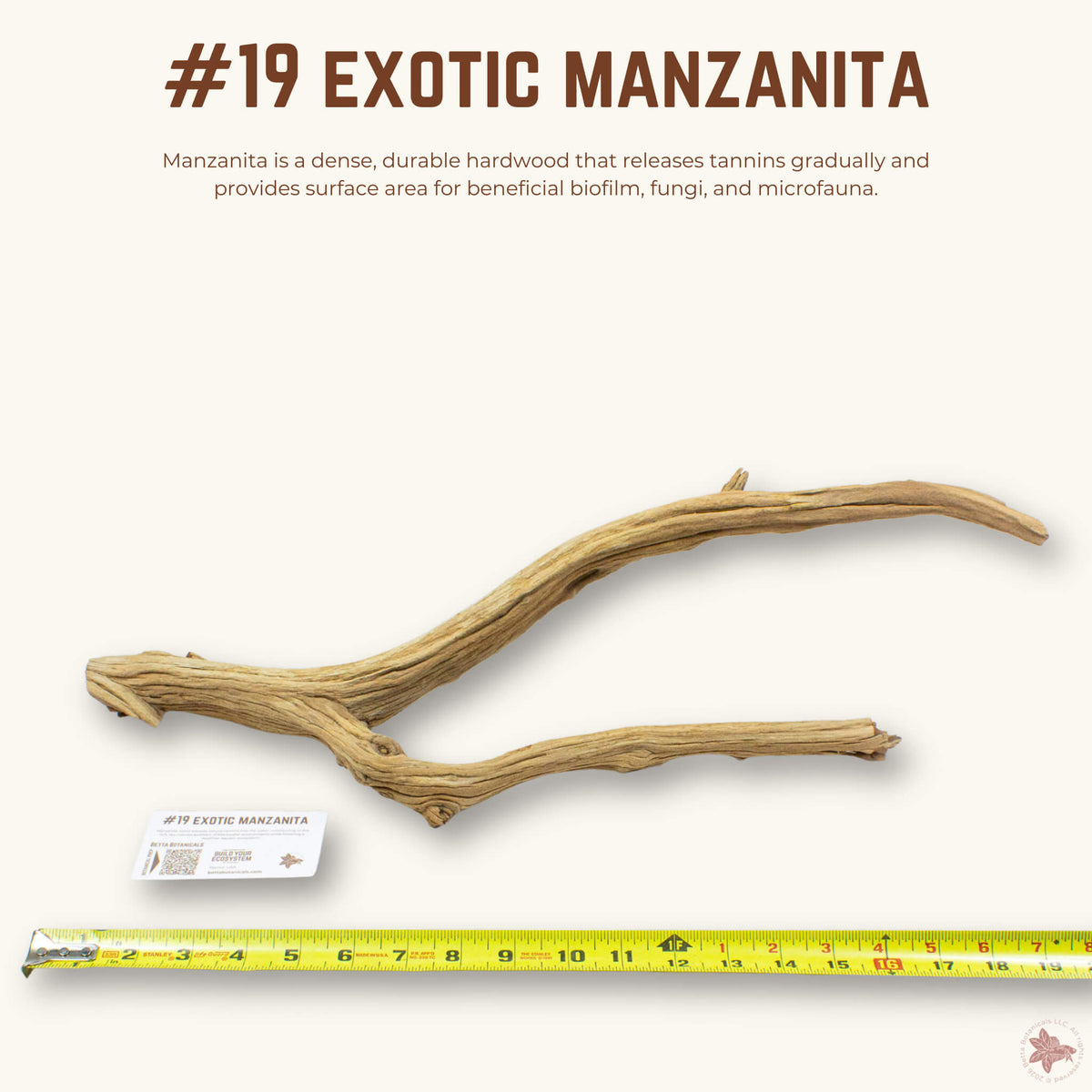 Exotic Manzanita | WYSIWYG Pieces