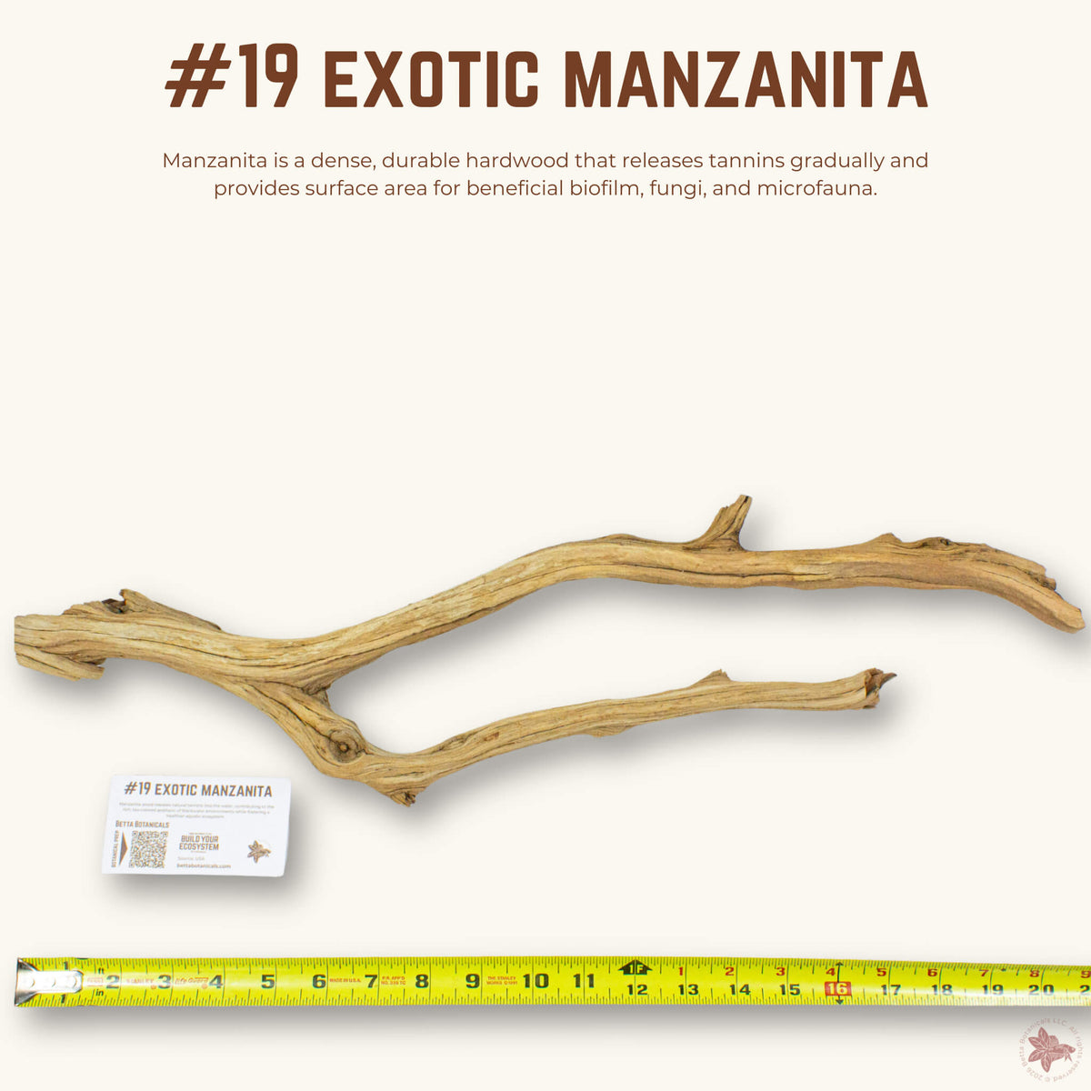 Exotic Manzanita | WYSIWYG Pieces