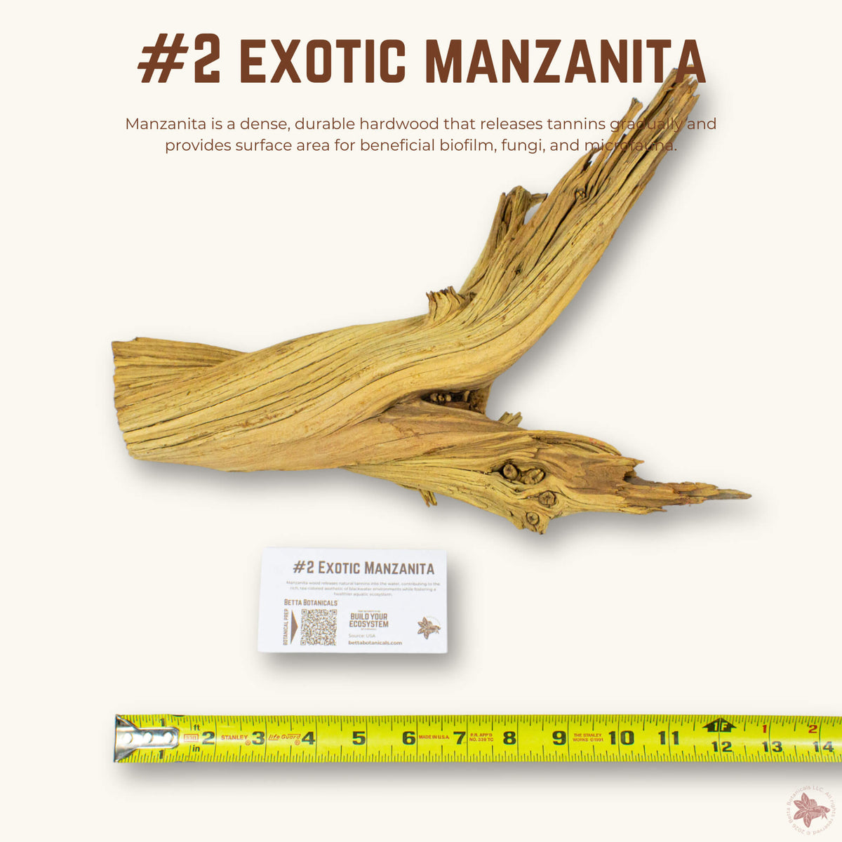 Exotic Manzanita | WYSIWYG Pieces