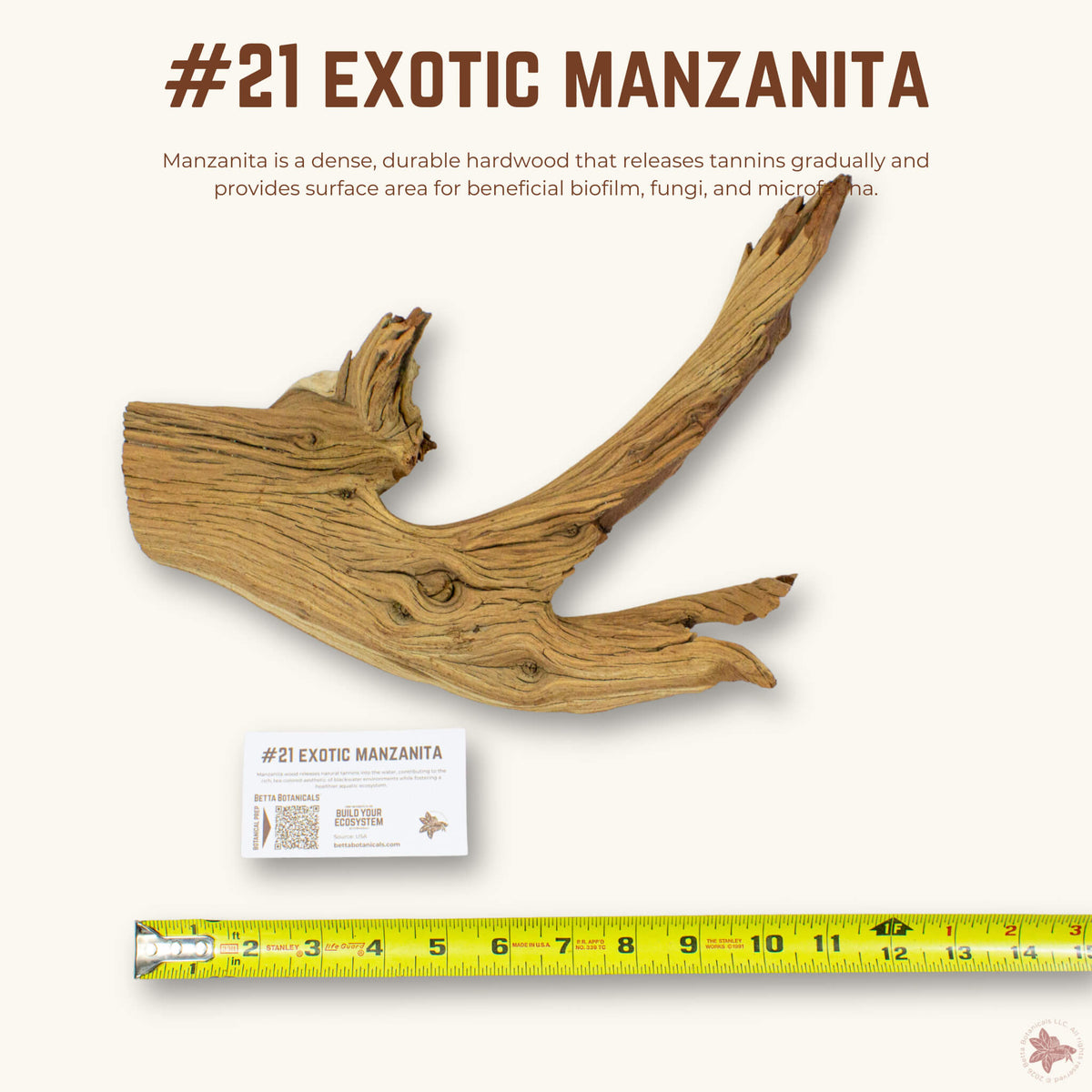 Exotic Manzanita | WYSIWYG Pieces