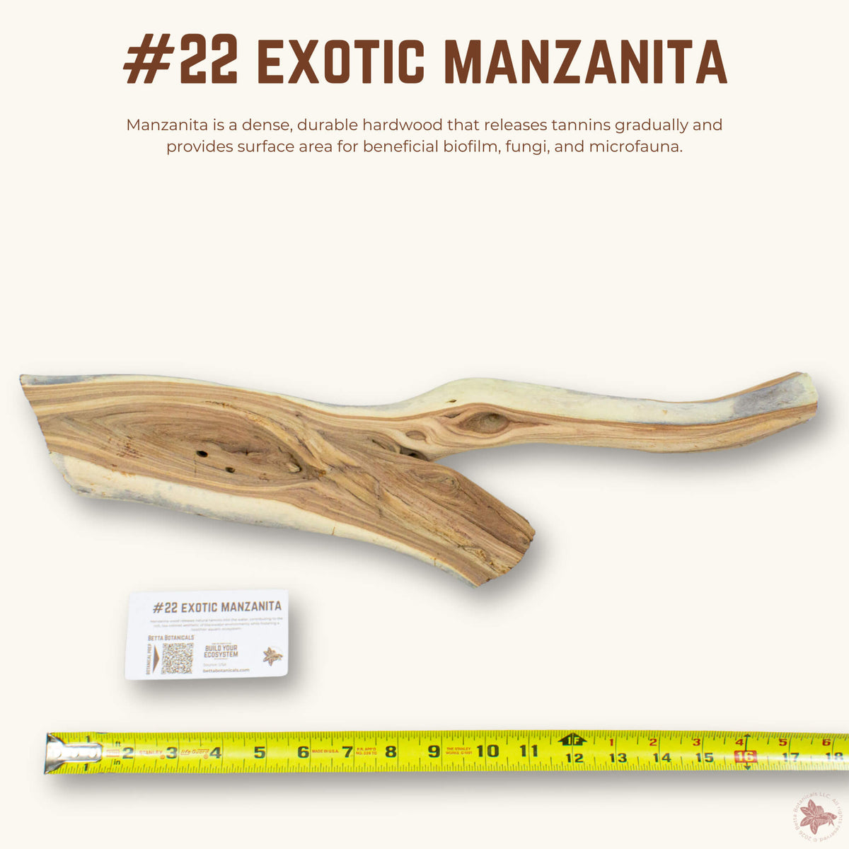 Exotic Manzanita | WYSIWYG Pieces