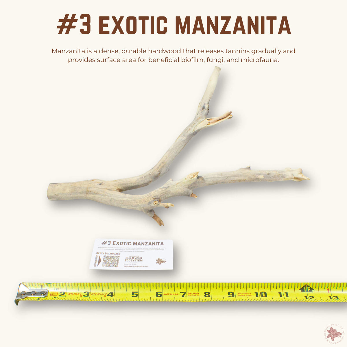 Exotic Manzanita | WYSIWYG Pieces