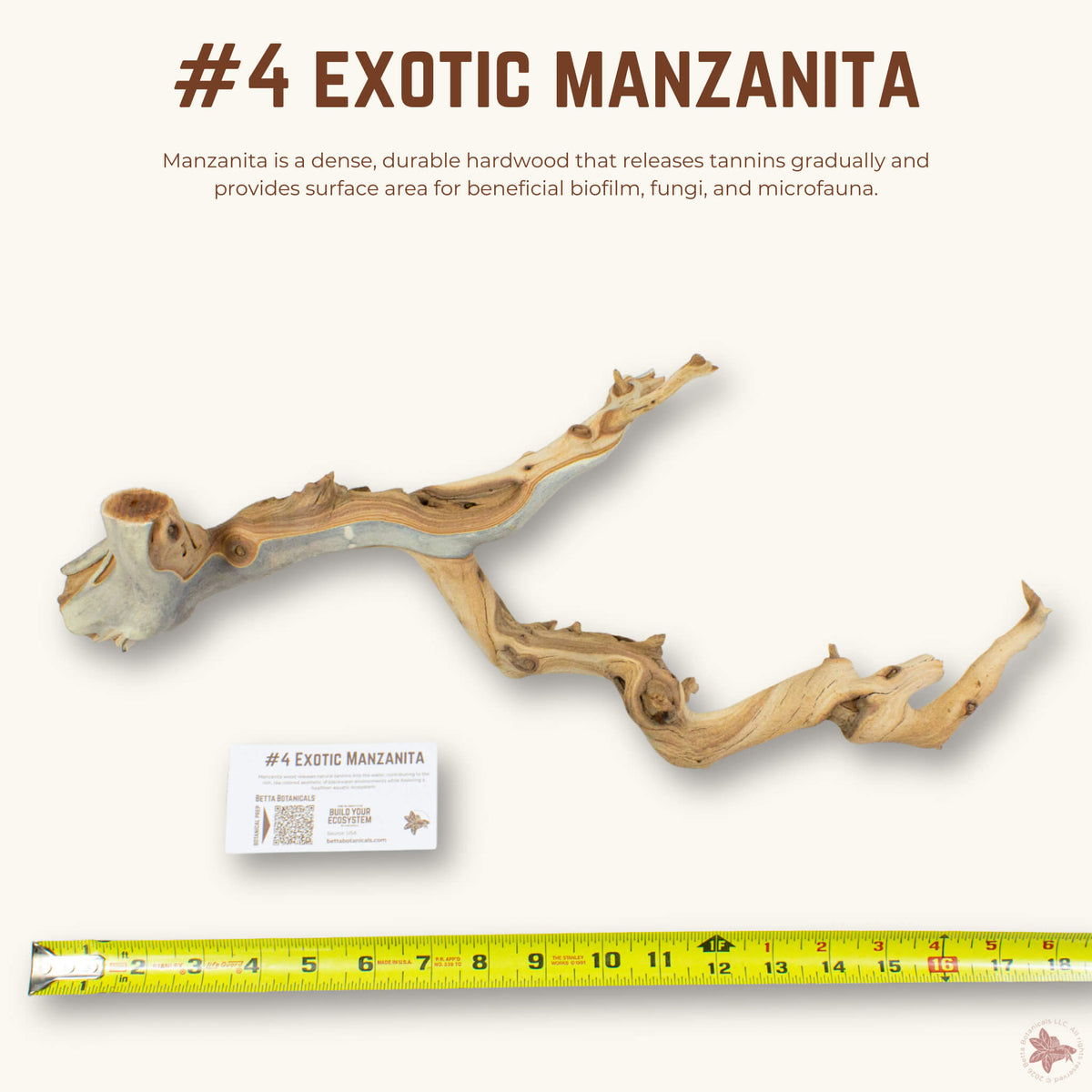 Exotic Manzanita | WYSIWYG Pieces