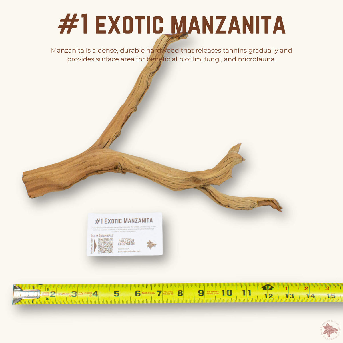 Exotic Manzanita | WYSIWYG Pieces