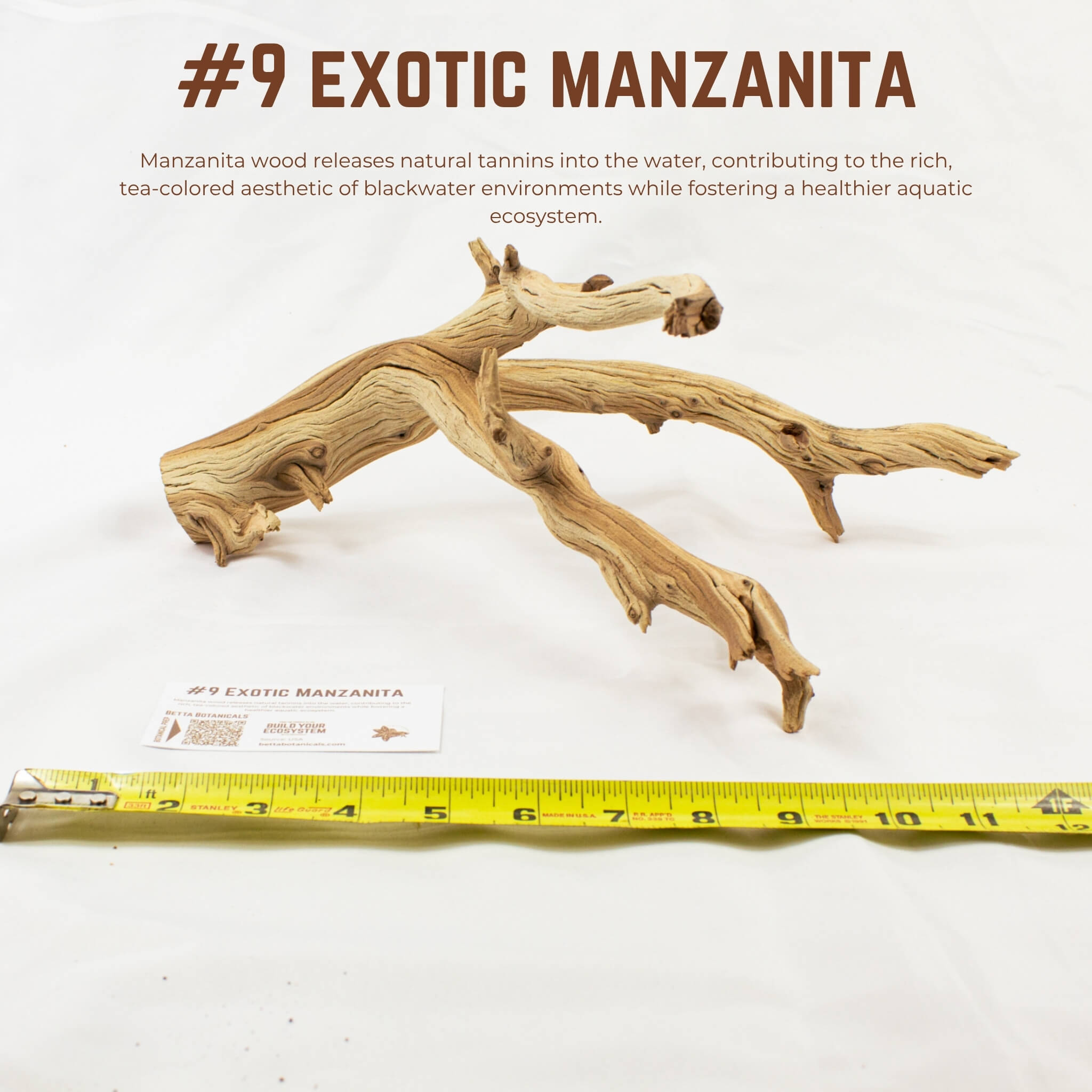 Exotic Manzanita | WYSIWYG Pieces