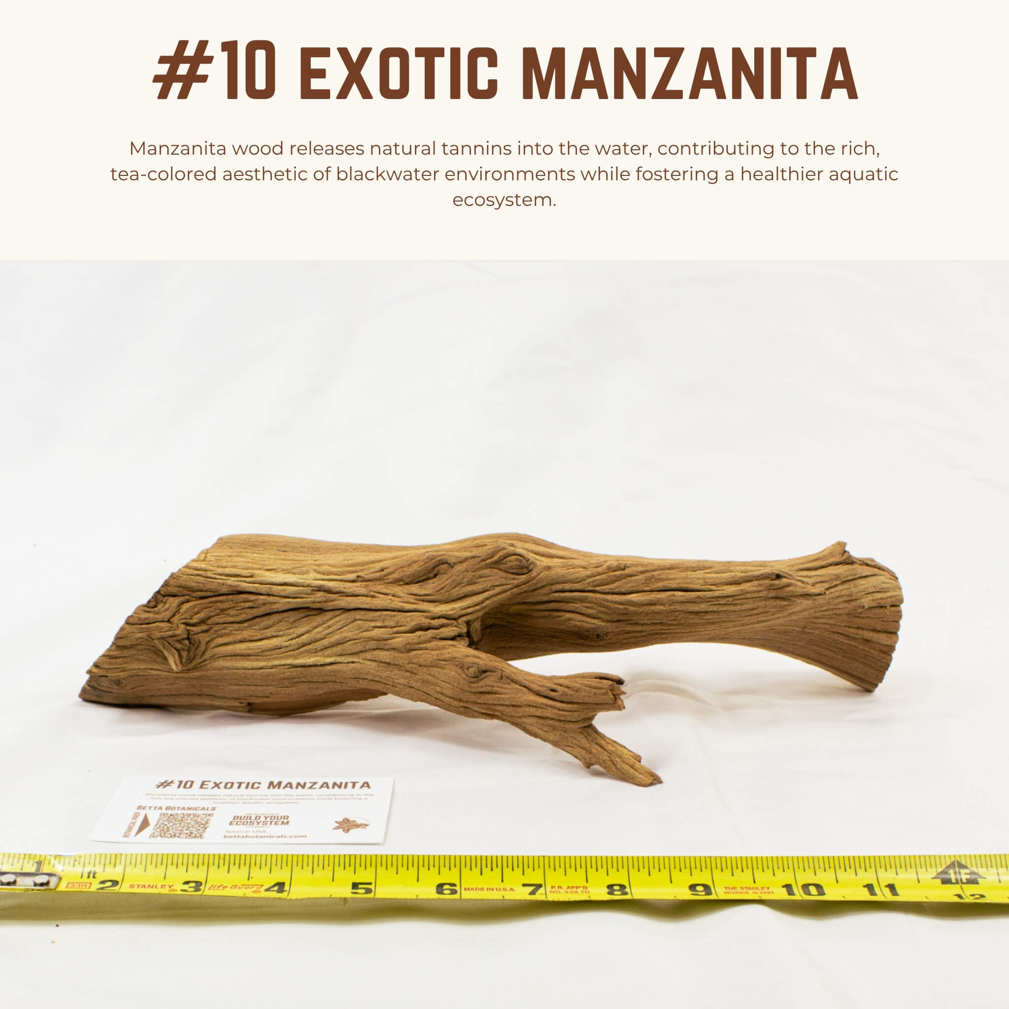 Exotic Manzanita | WYSIWYG Pieces