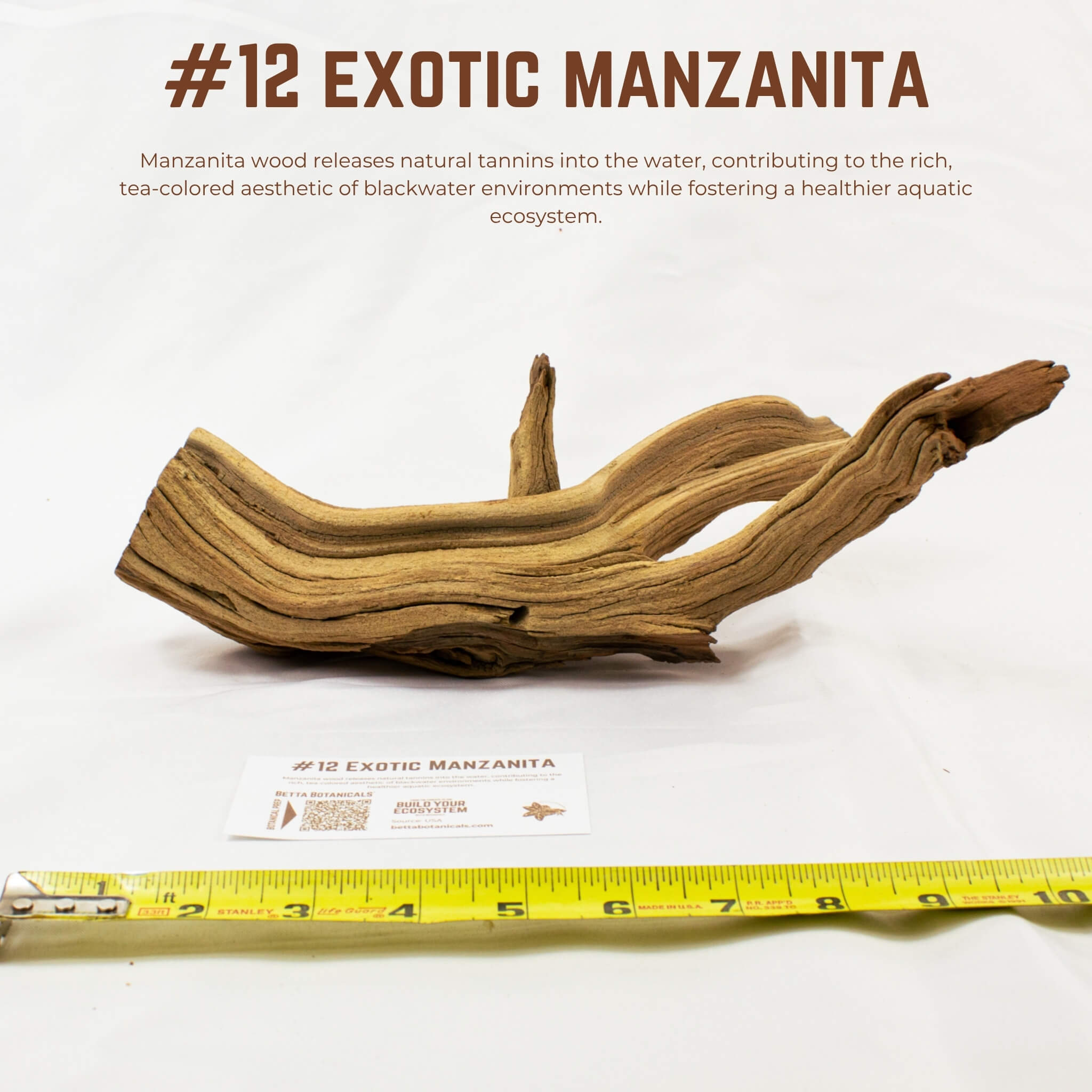 Exotic Manzanita | WYSIWYG Pieces