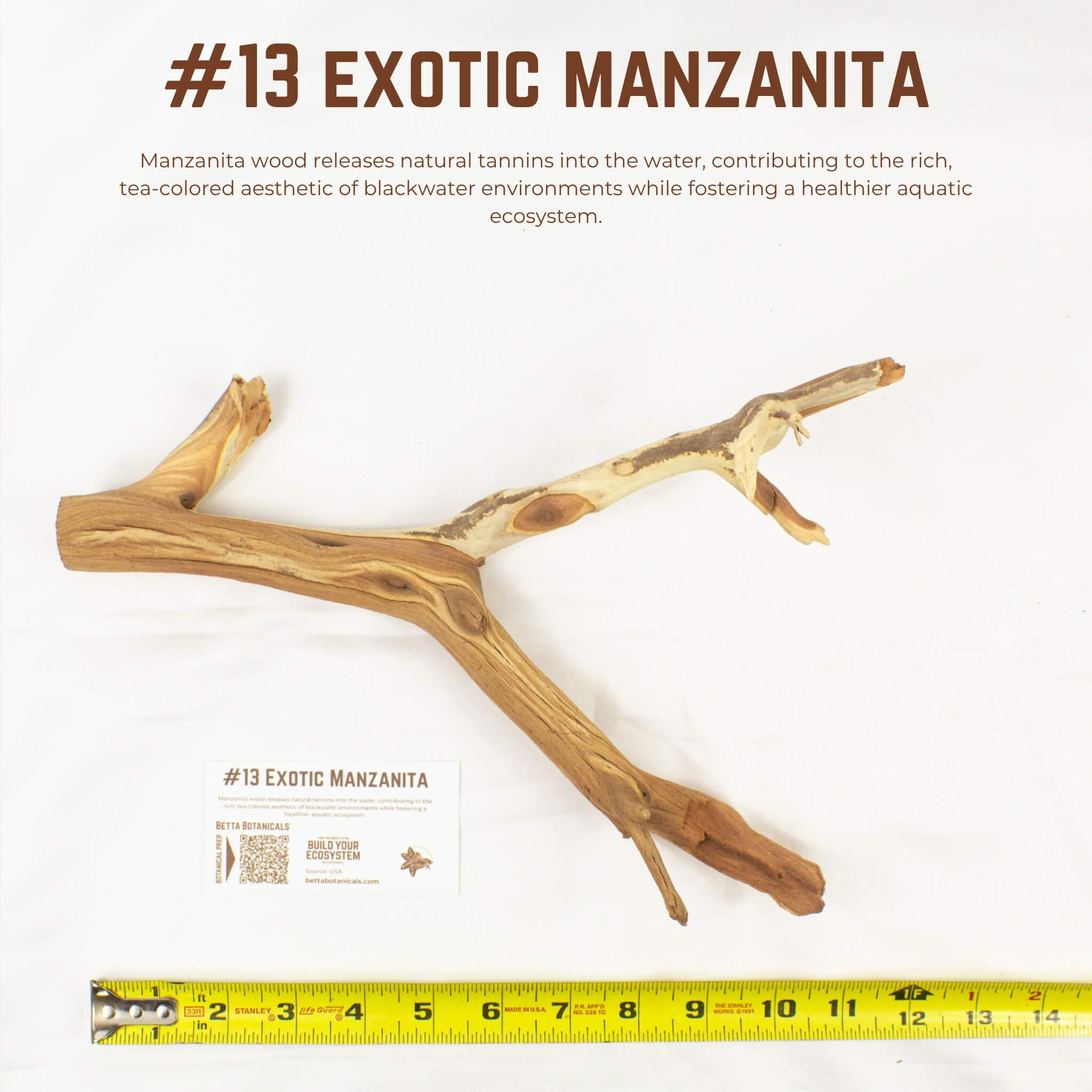 Exotic Manzanita | WYSIWYG Pieces