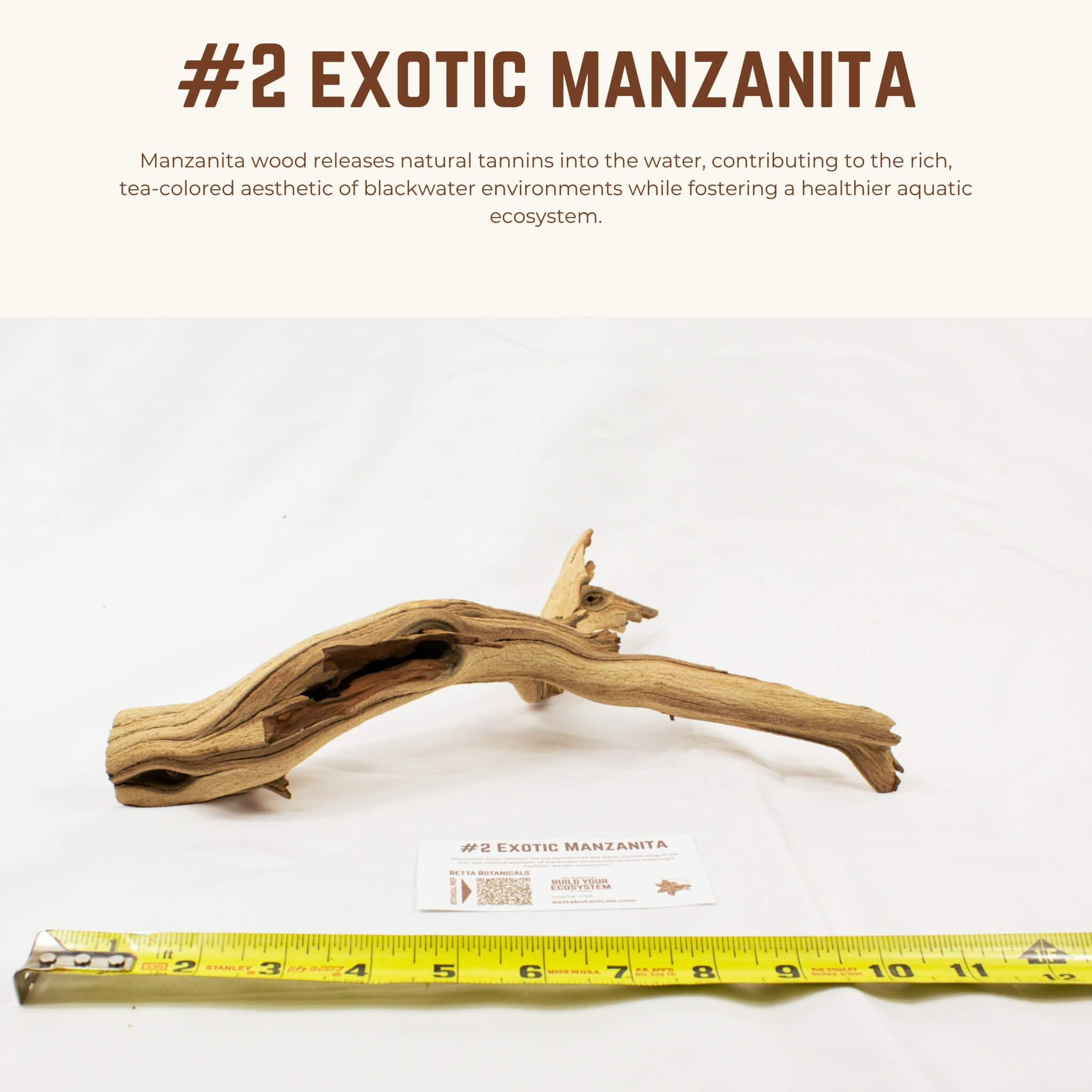 Exotic Manzanita | WYSIWYG Pieces