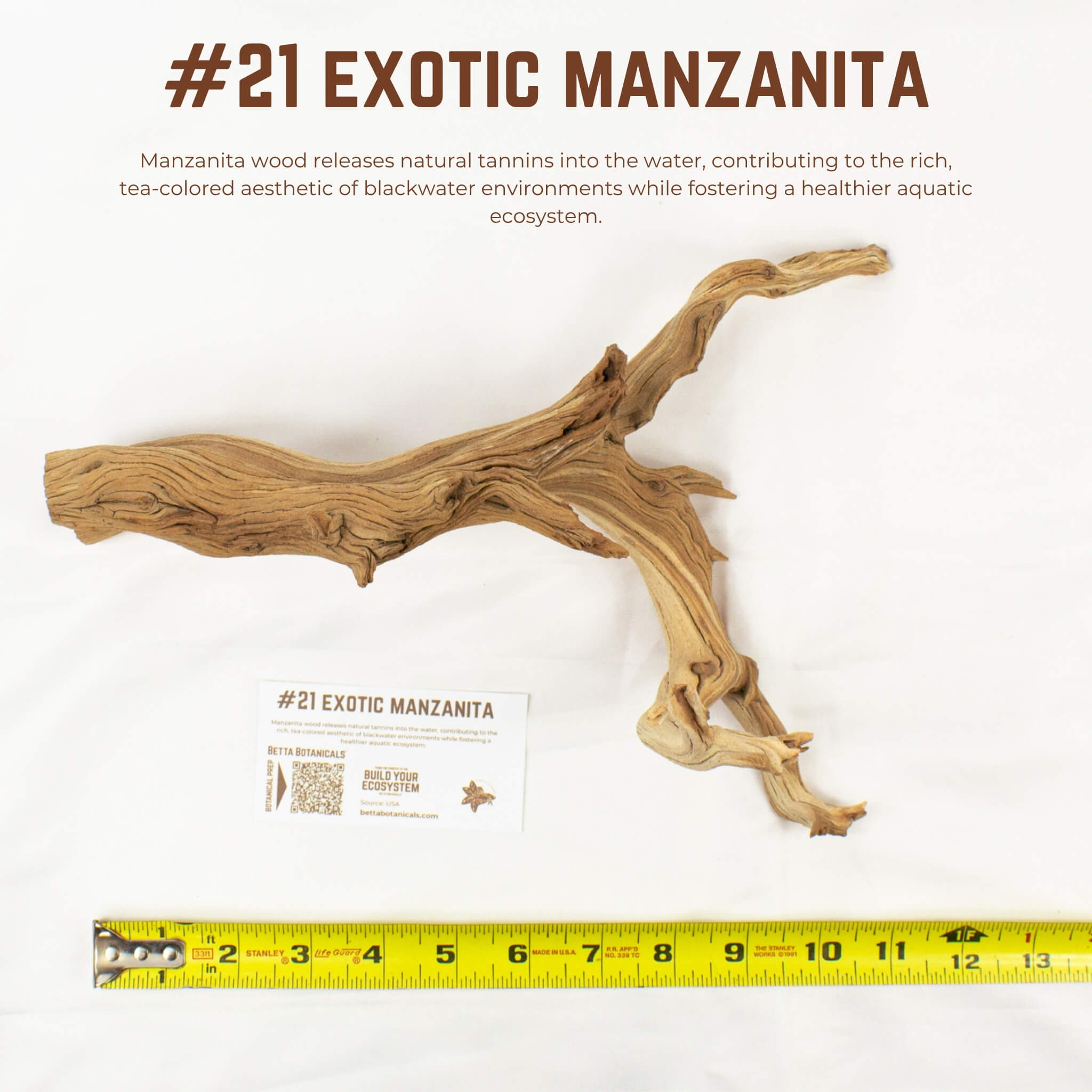 Exotic Manzanita | WYSIWYG Pieces