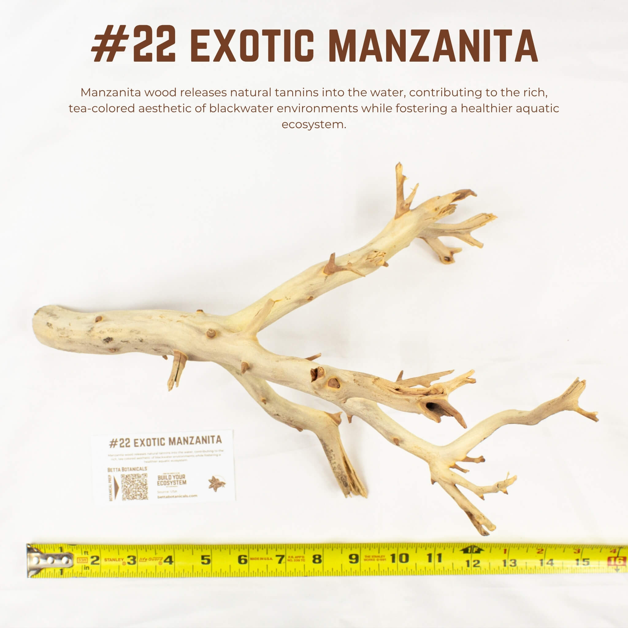 Exotic Manzanita | WYSIWYG Pieces