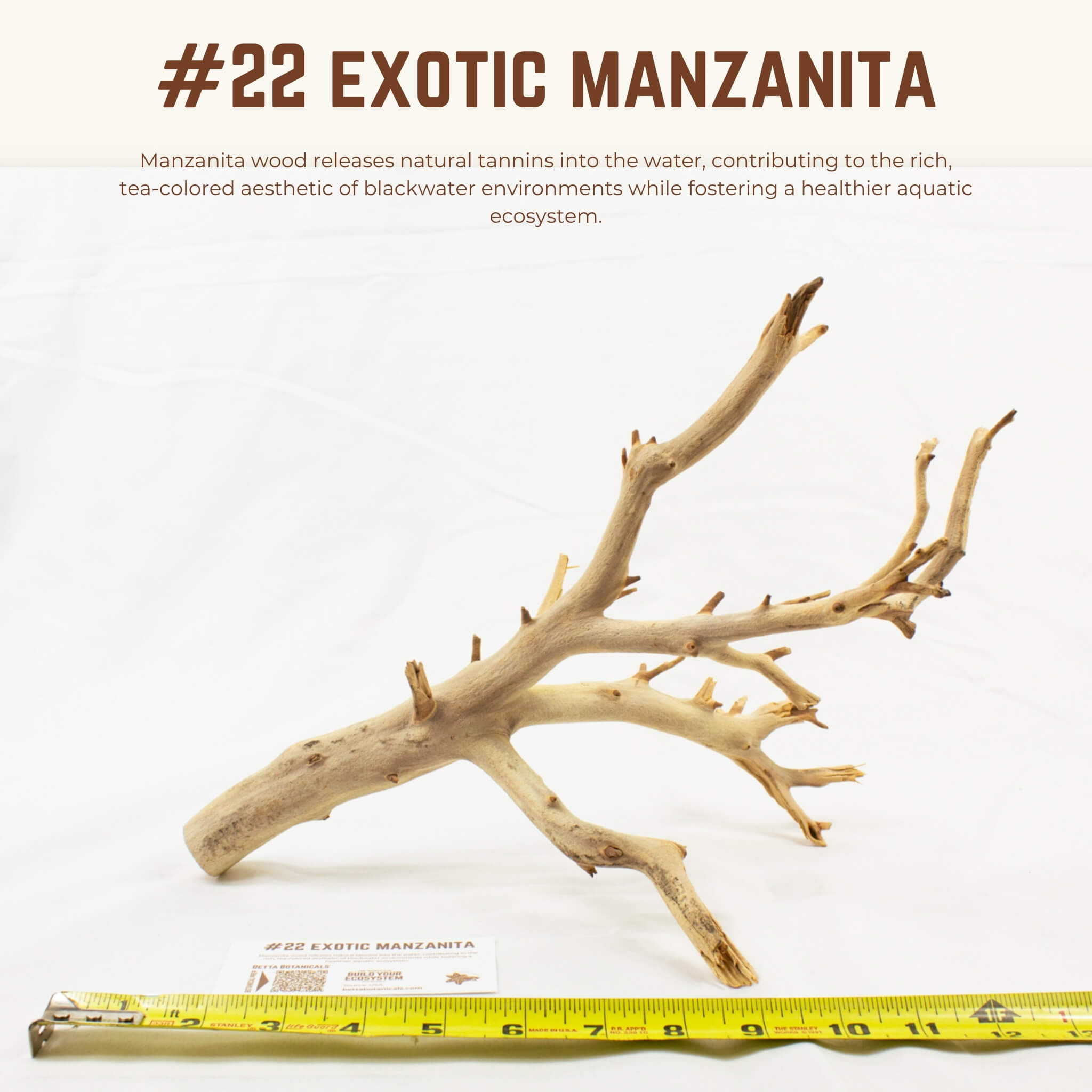 Exotic Manzanita | WYSIWYG Pieces