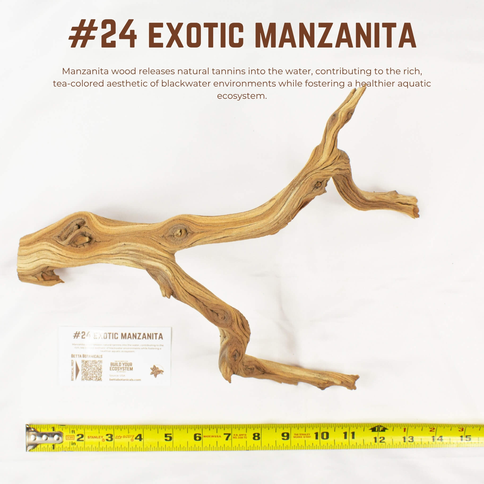 Exotic Manzanita | WYSIWYG Pieces