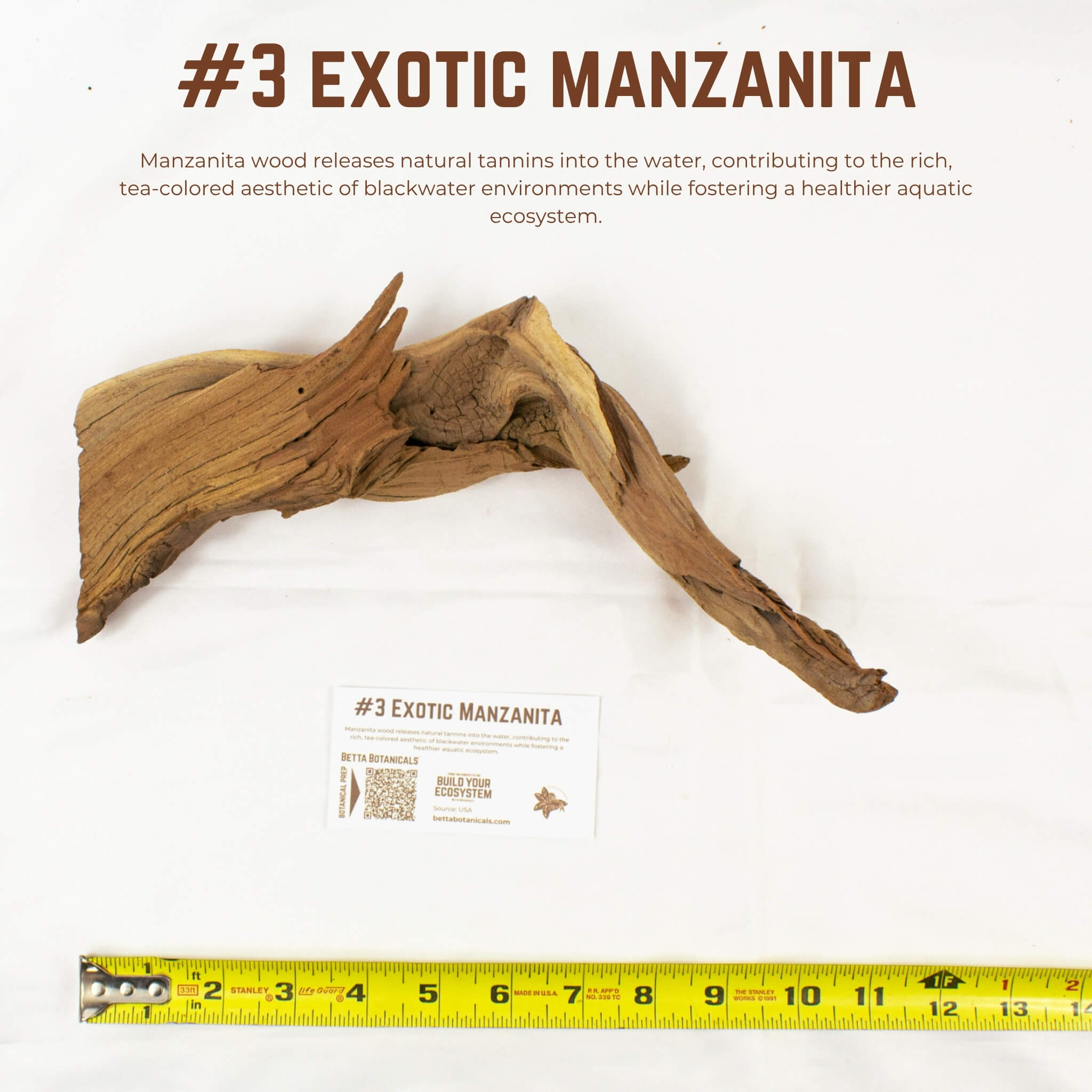 Exotic Manzanita | WYSIWYG Pieces