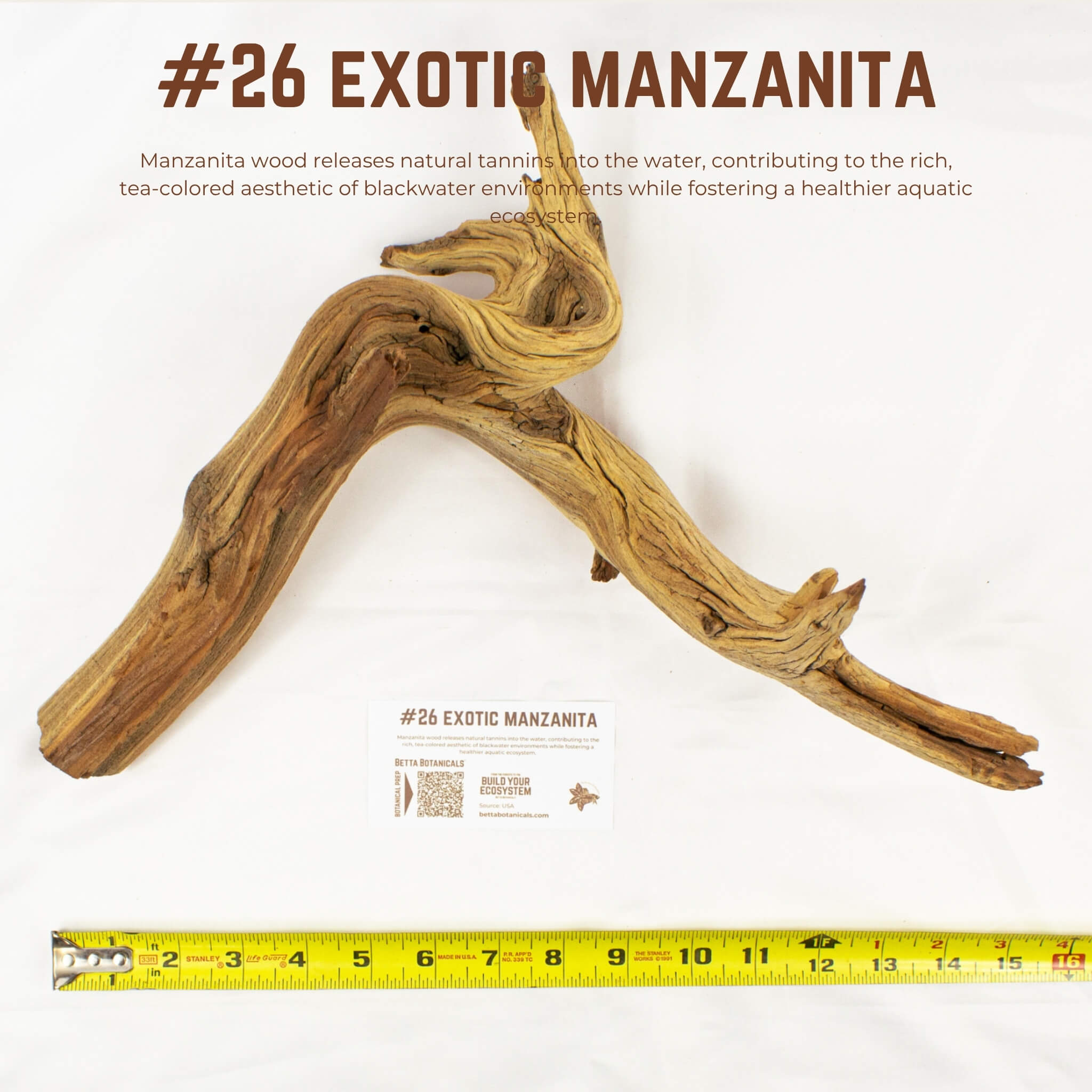 Exotic Manzanita | WYSIWYG Pieces