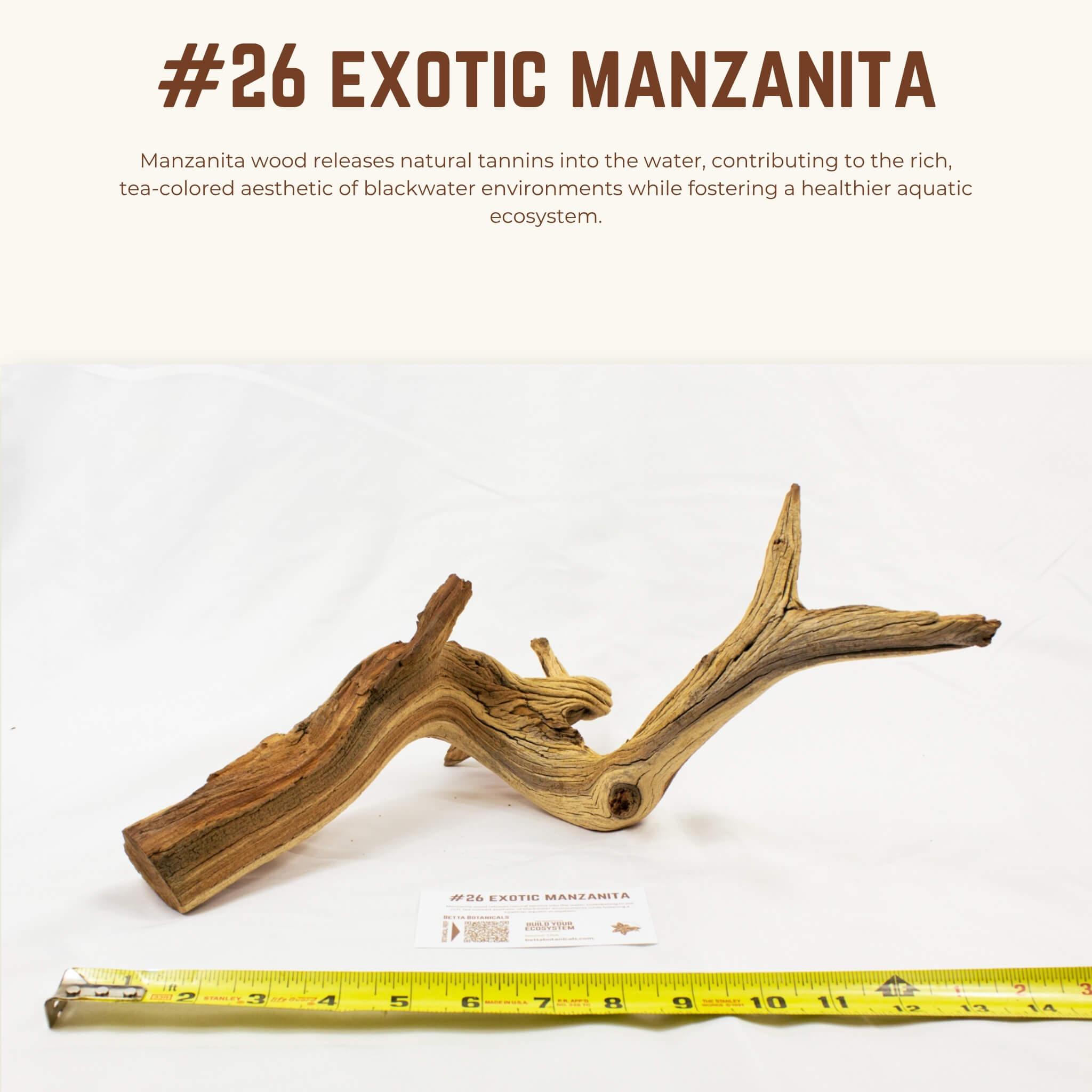 Exotic Manzanita | WYSIWYG Pieces