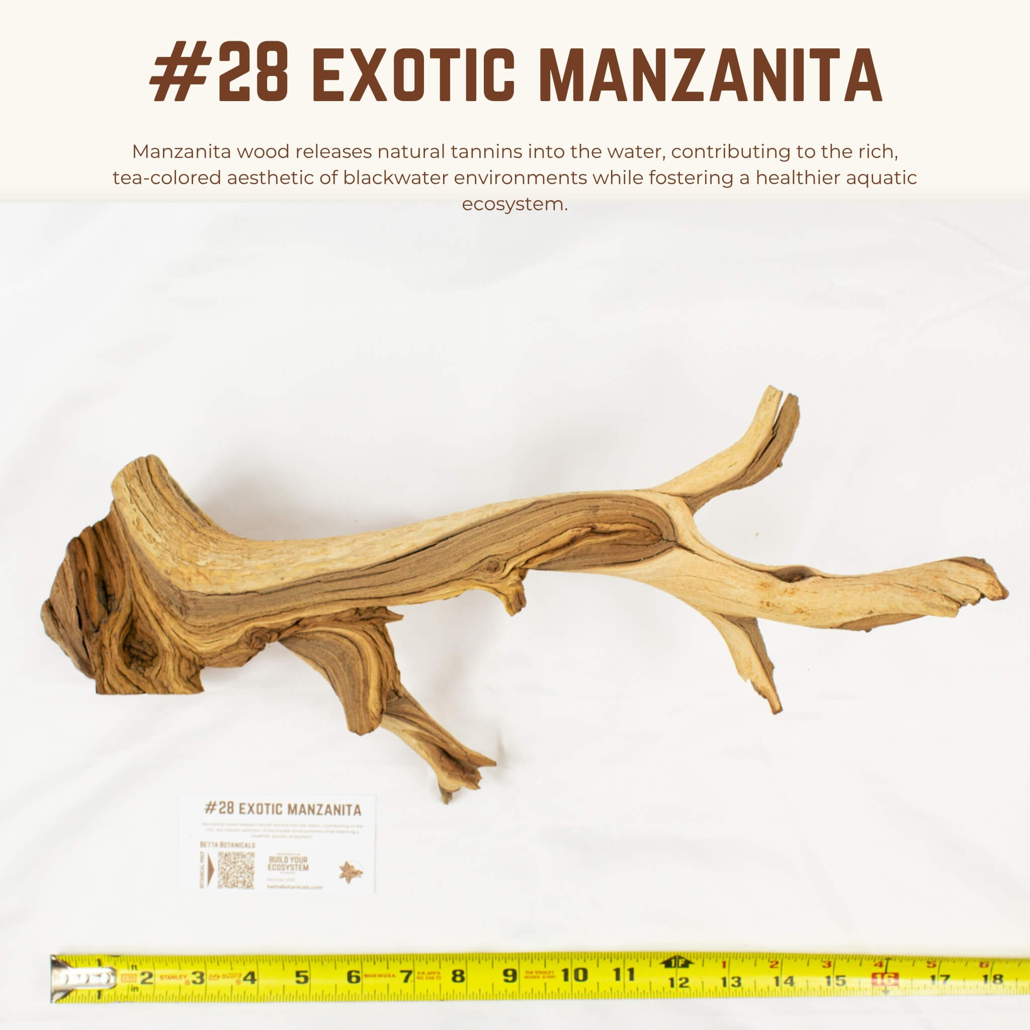 Exotic Manzanita | WYSIWYG Pieces