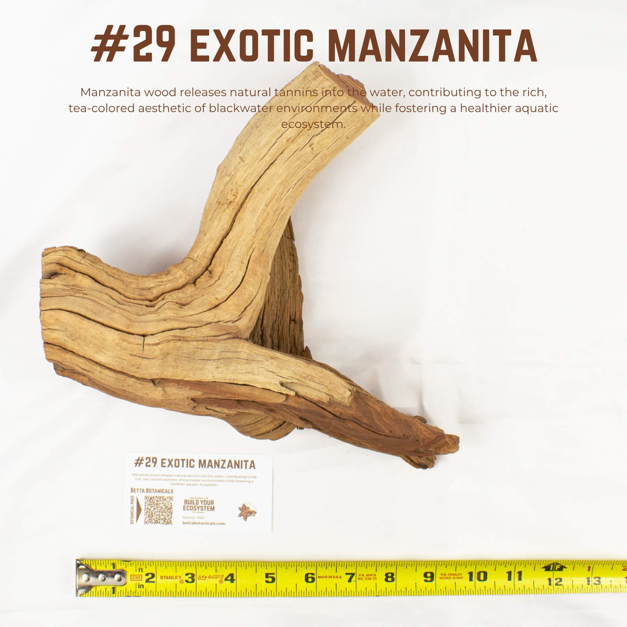 Exotic Manzanita | WYSIWYG Pieces