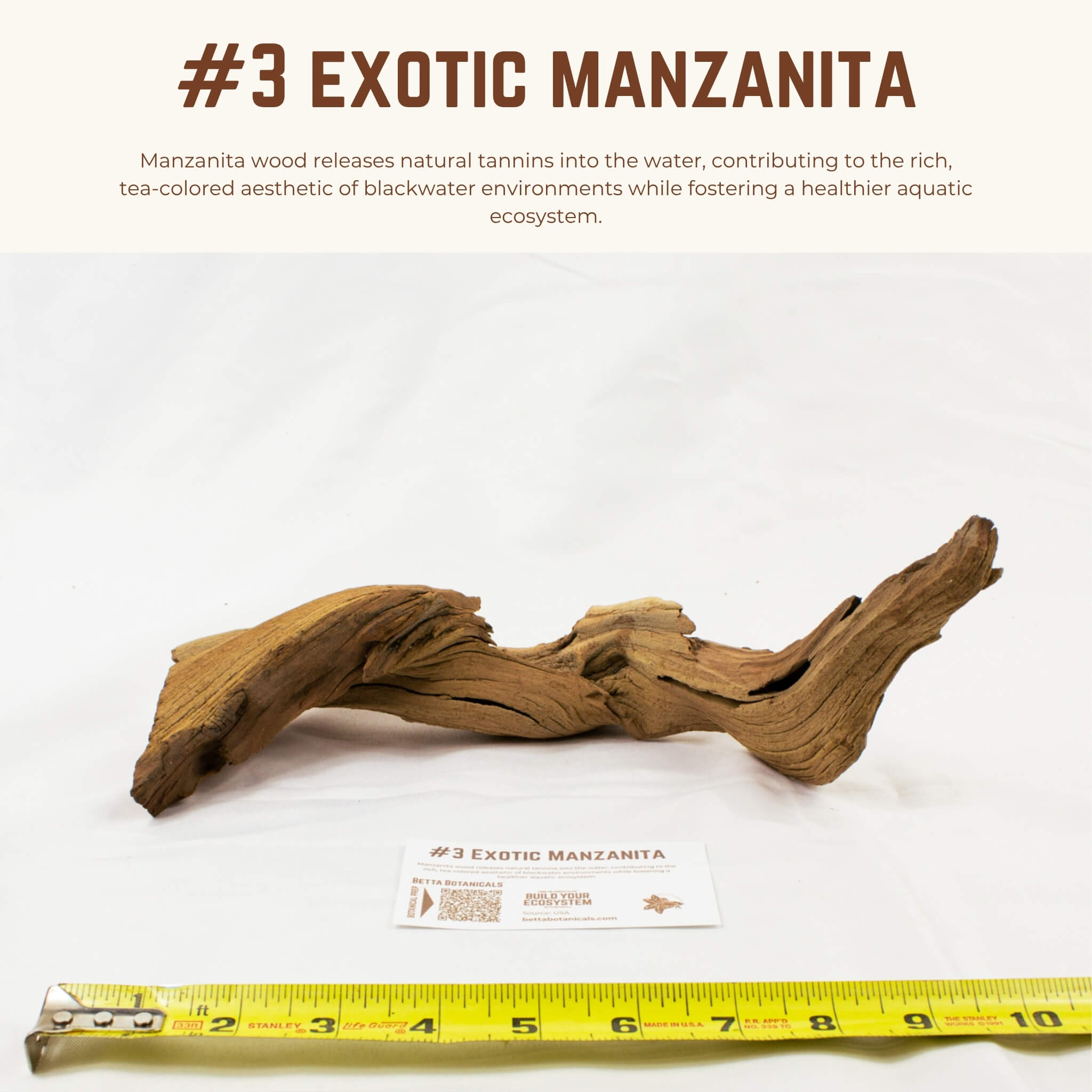 Exotic Manzanita | WYSIWYG Pieces