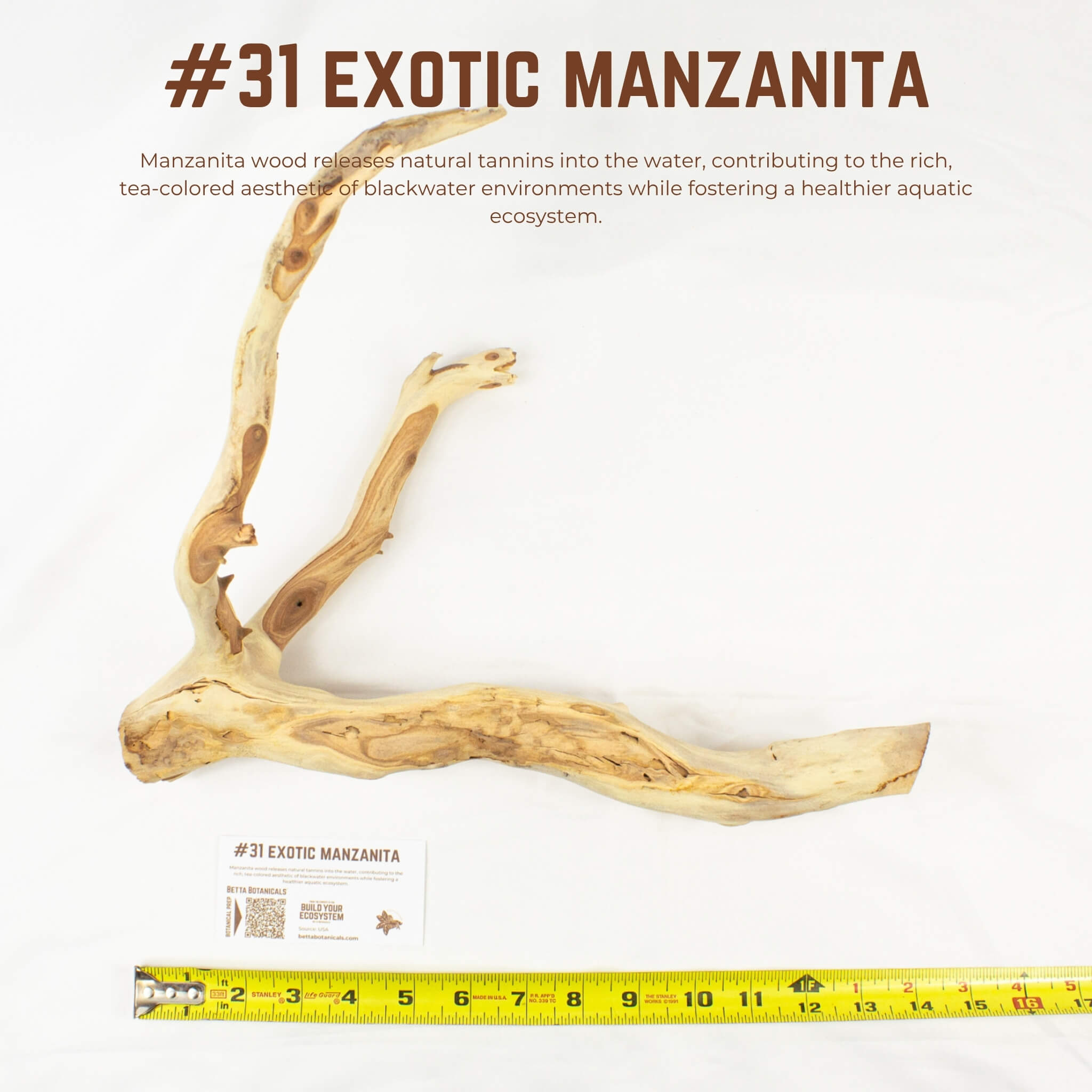 Exotic Manzanita | WYSIWYG Pieces