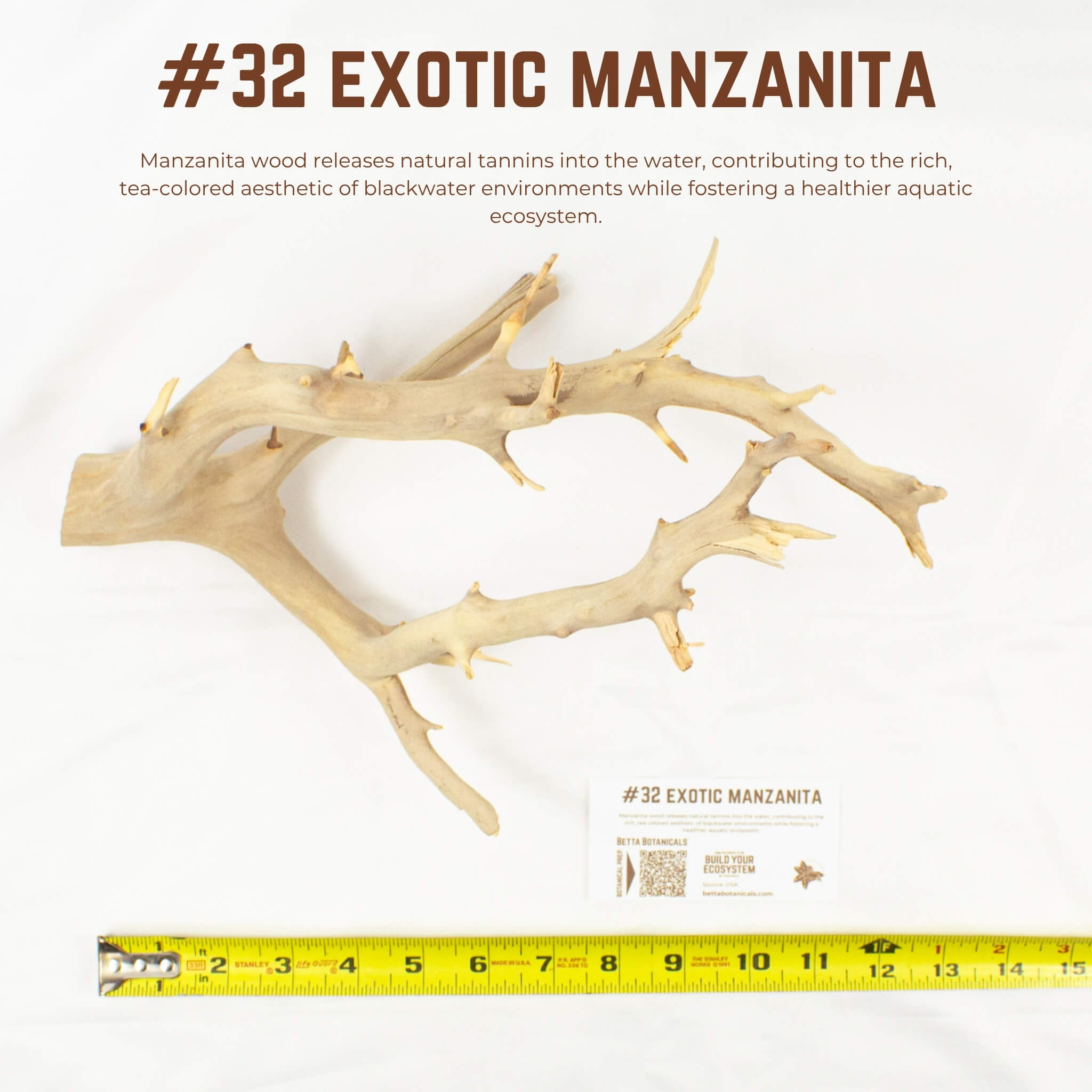 Exotic Manzanita | WYSIWYG Pieces