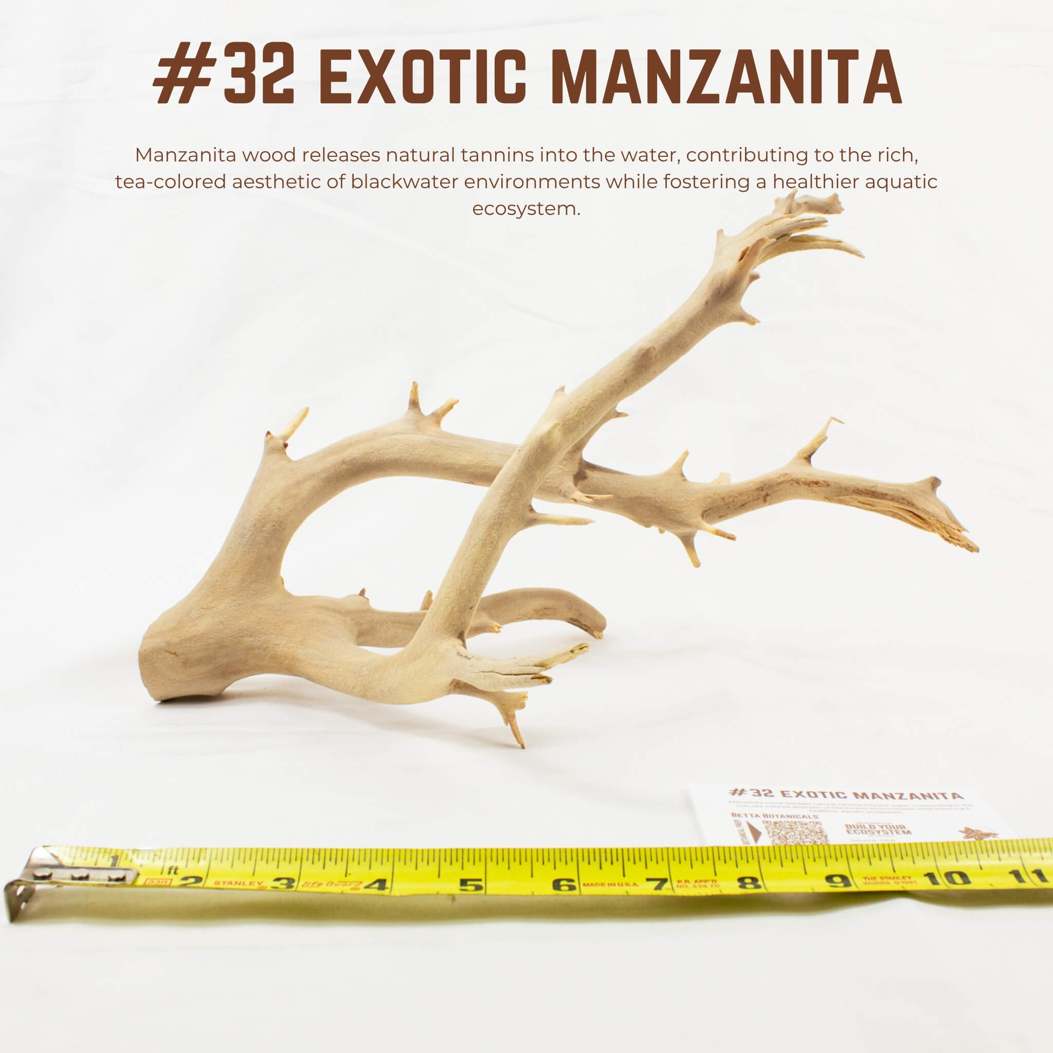 Exotic Manzanita | WYSIWYG Pieces