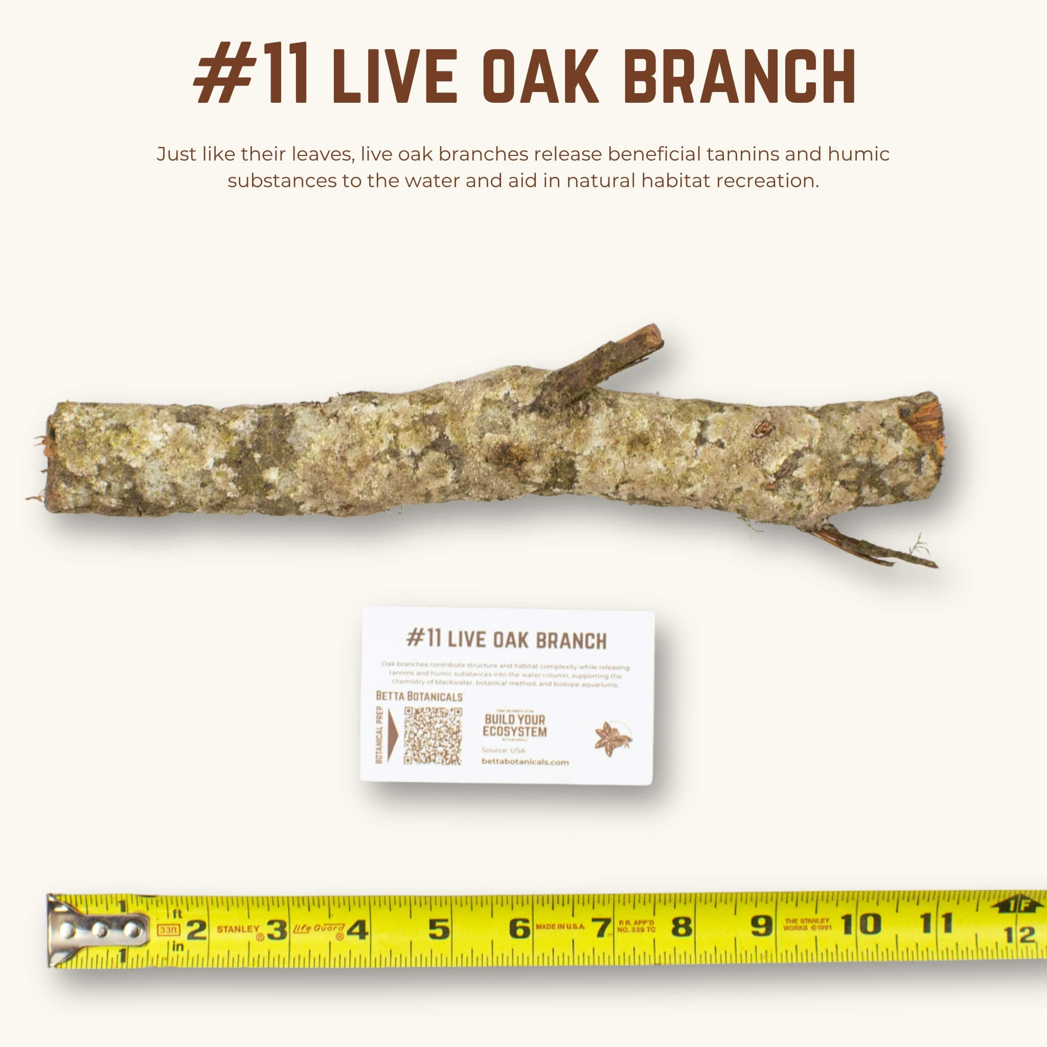 Live Oak Branches | WYSIWYG Pieces