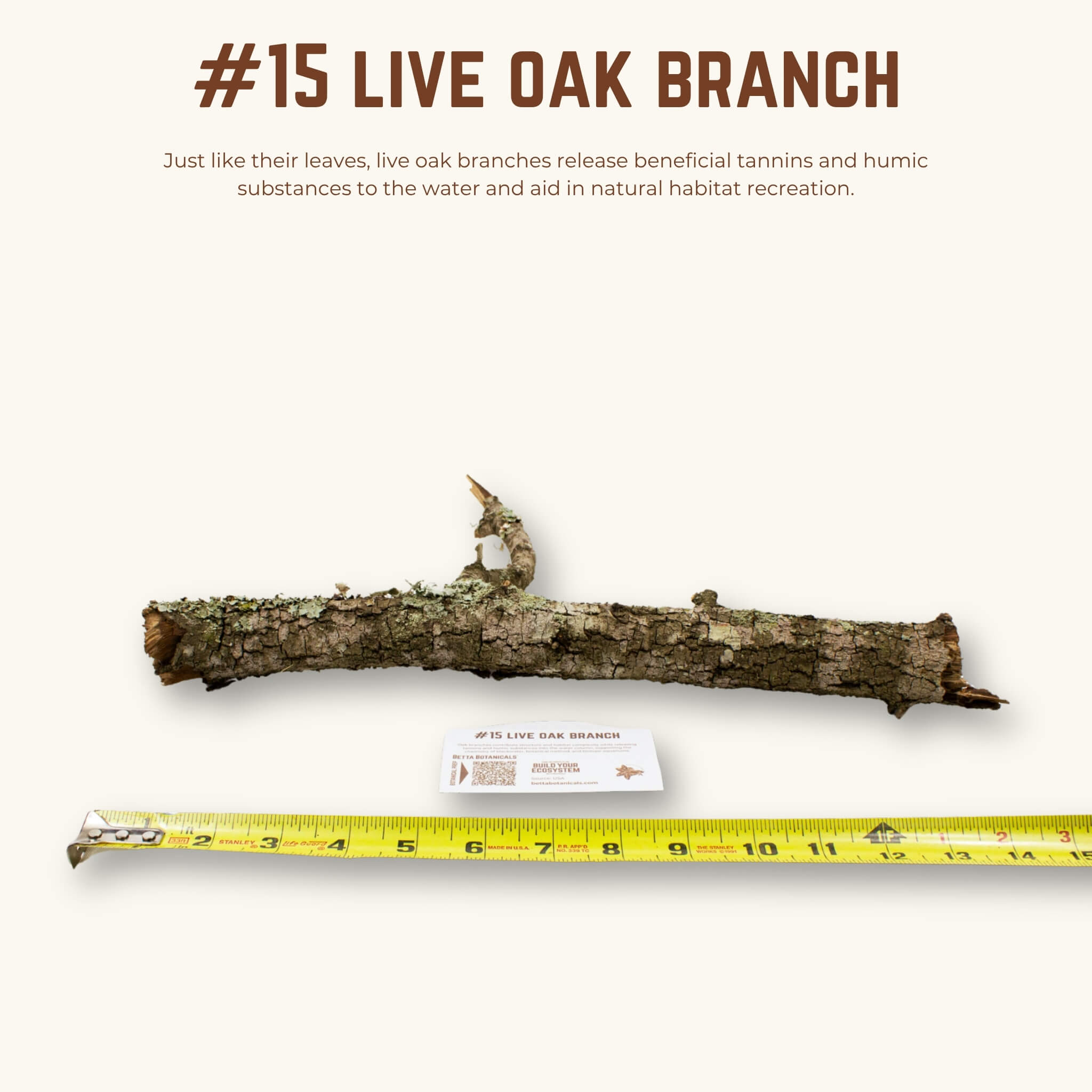 Live Oak Branches | WYSIWYG Pieces