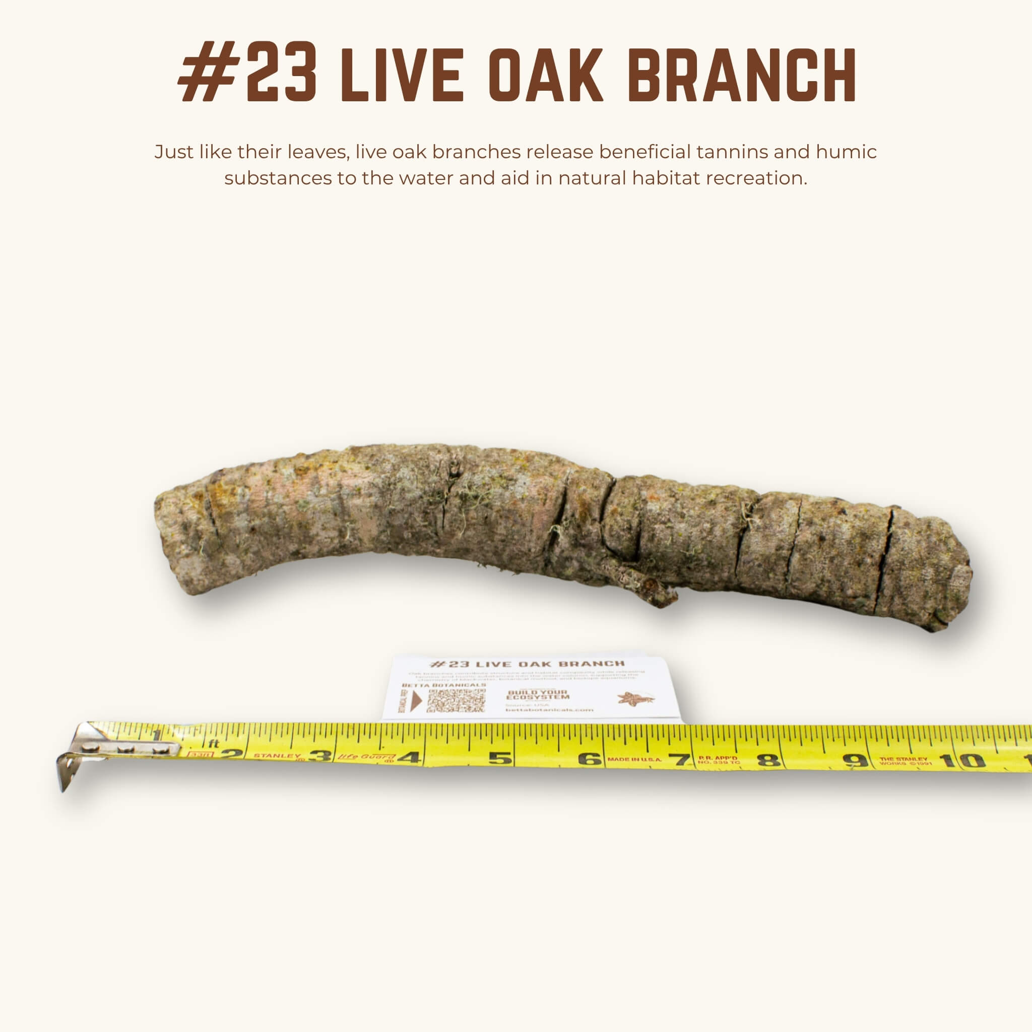 Live Oak Branches | WYSIWYG Pieces